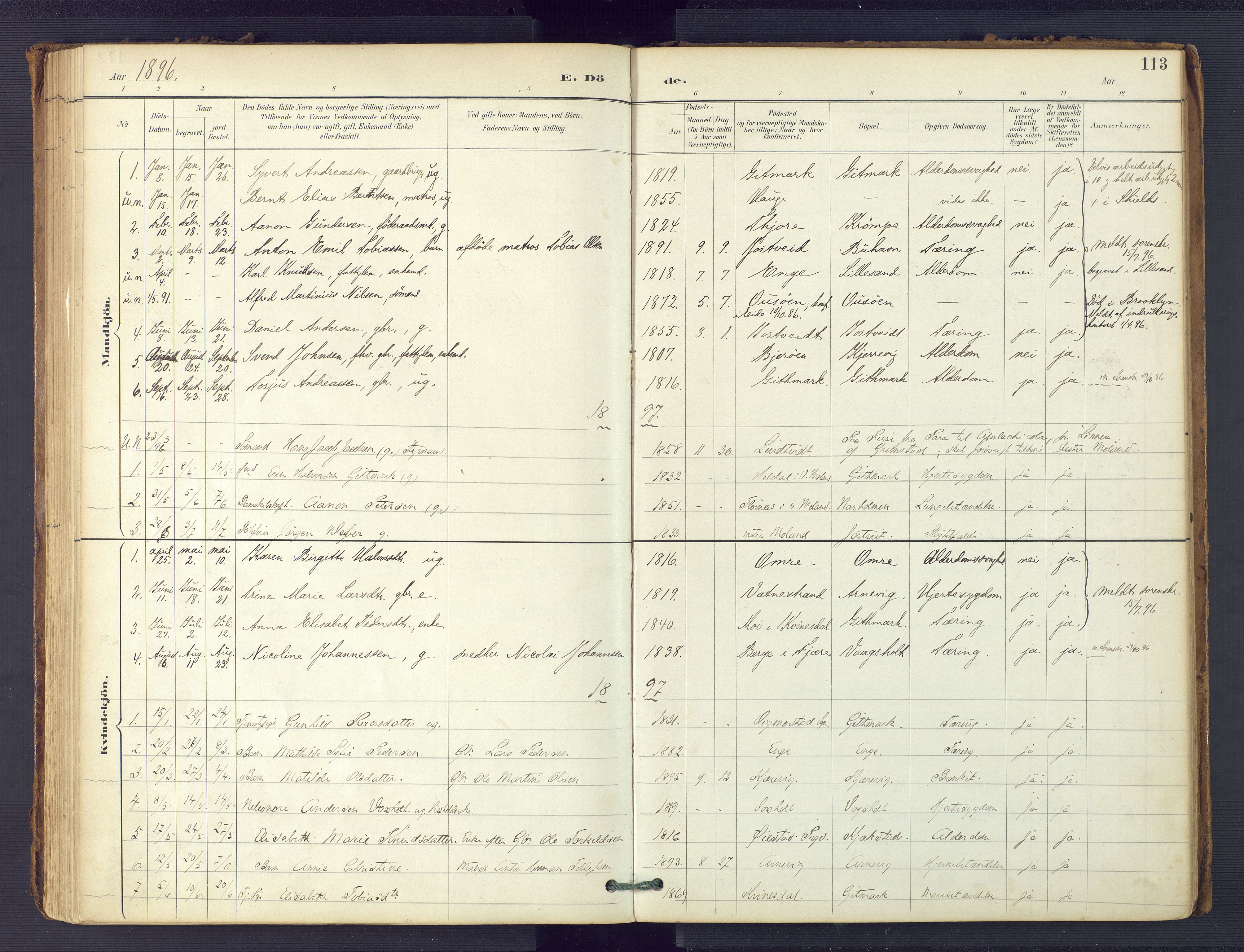 Hommedal sokneprestkontor, SAK/1111-0023/F/Fa/Faa/L0003: Parish register (official) no. A 3, 1885-1916, p. 113