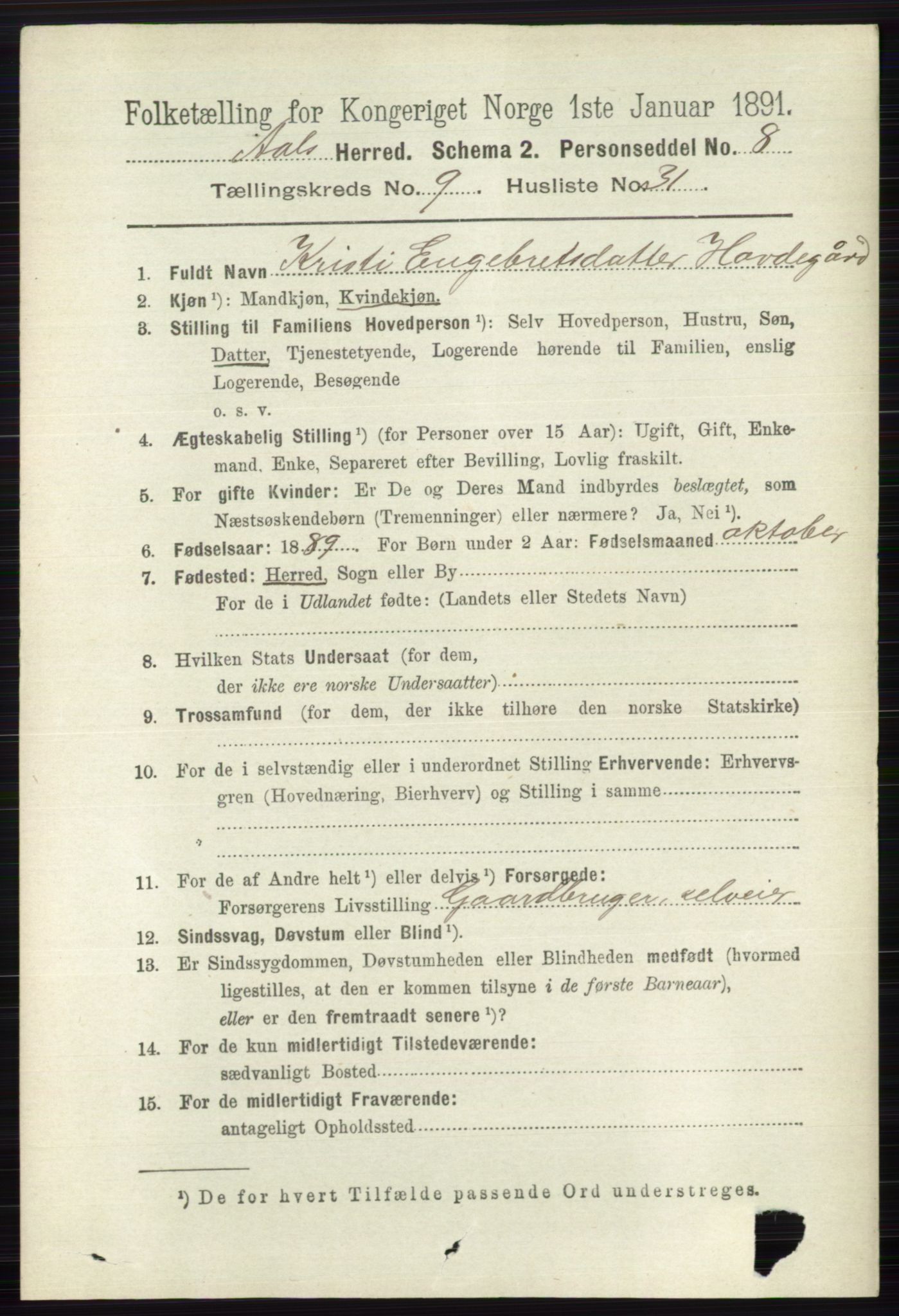 RA, 1891 census for 0619 Ål, 1891, p. 2658