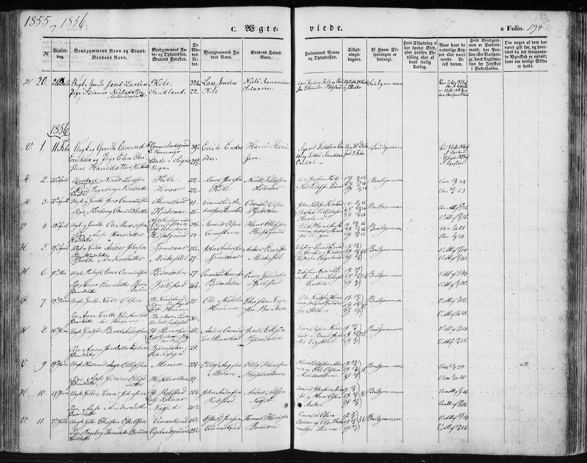 Vennesla sokneprestkontor, SAK/1111-0045/Fa/Fac/L0007: Parish register (official) no. A 7, 1855-1873, p. 194
