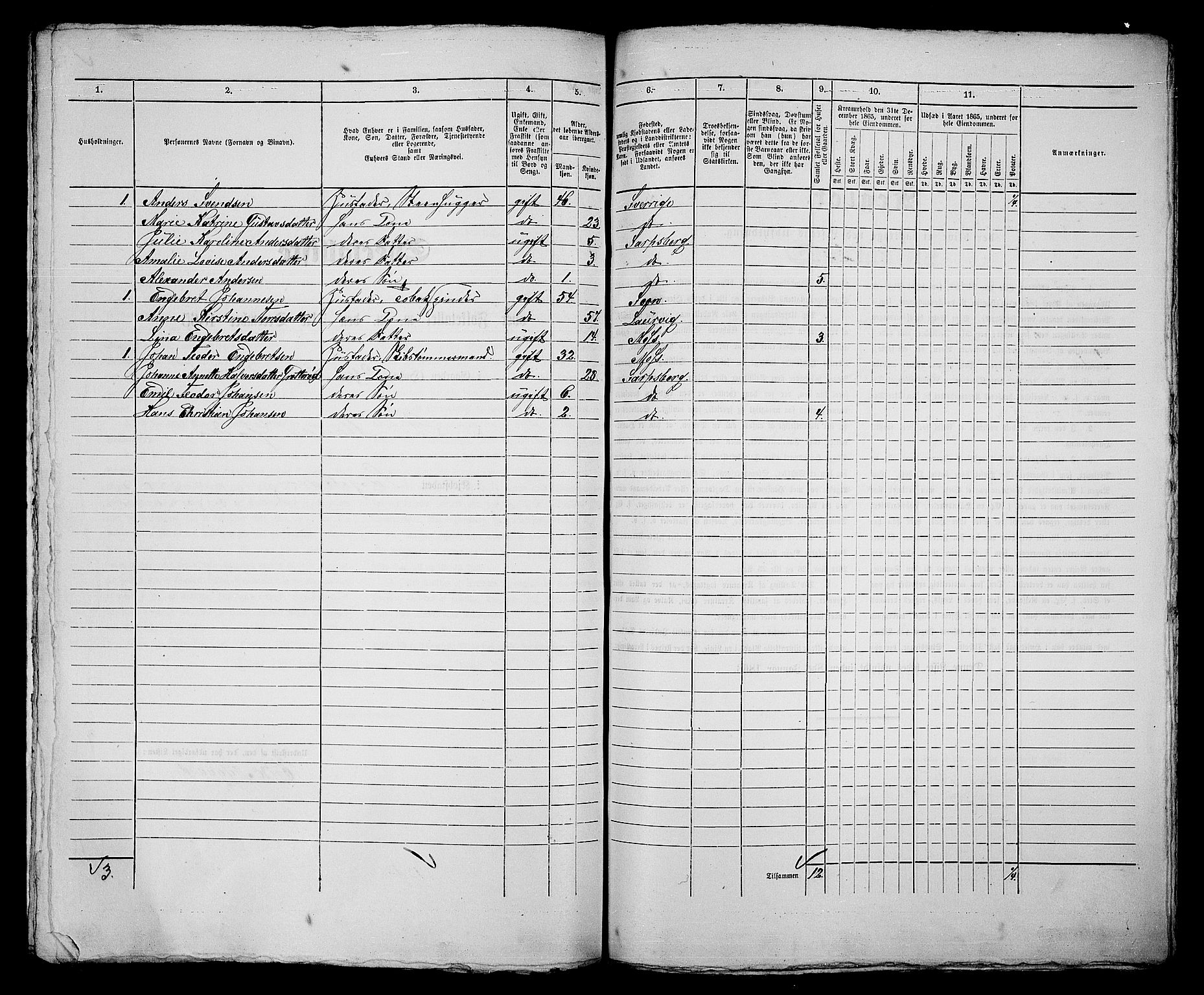 RA, 1865 census for Sarpsborg, 1865, p. 441