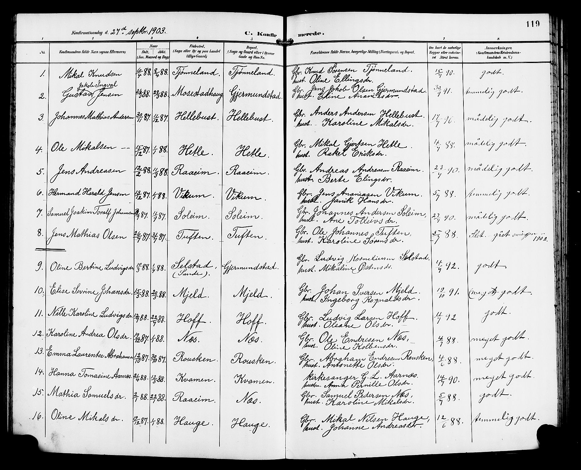 Gaular sokneprestembete, SAB/A-80001/H/Hab: Parish register (copy) no. C 4, 1895-1920, p. 119