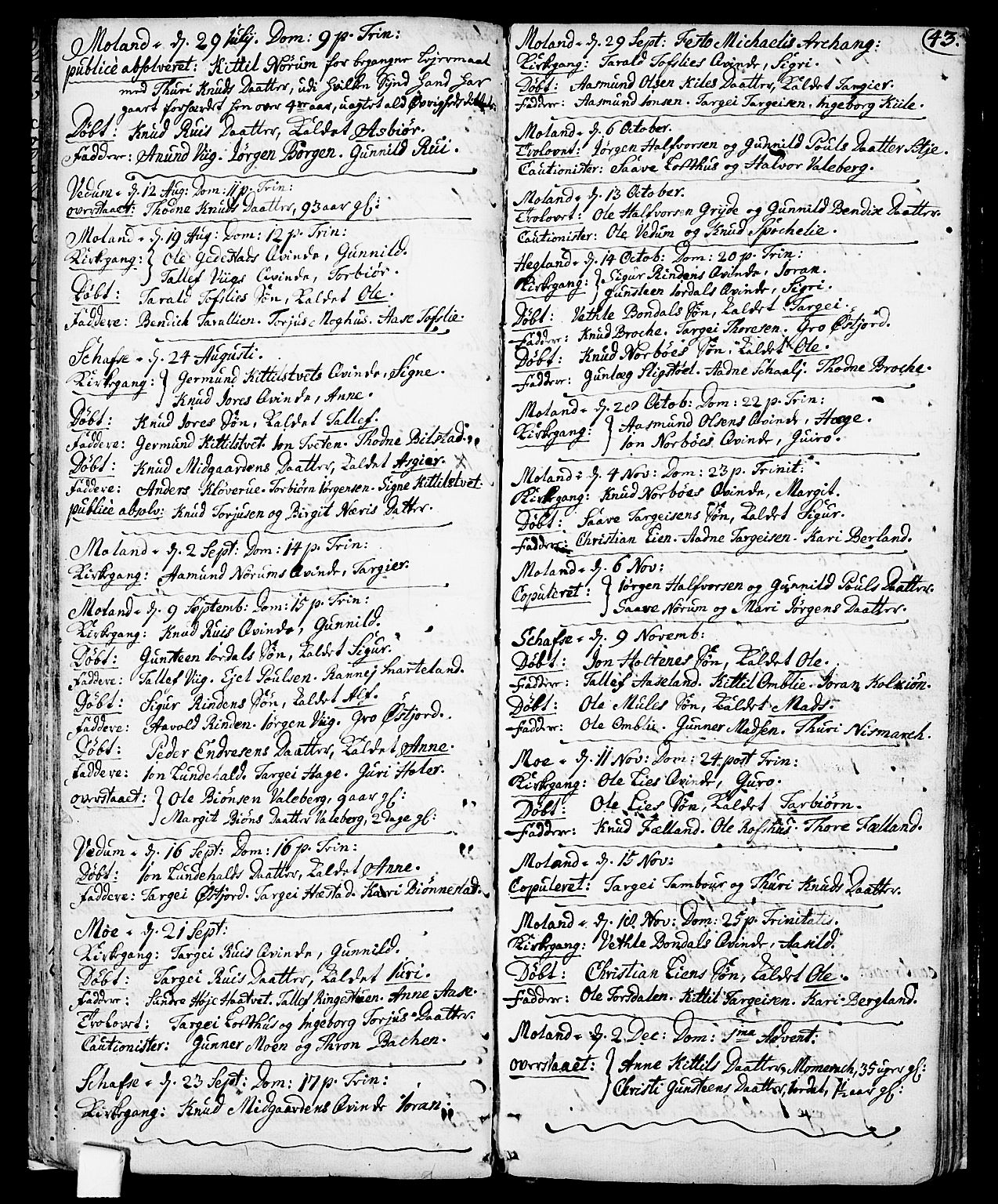 Fyresdal kirkebøker, SAKO/A-263/F/Fa/L0001: Parish register (official) no. I 1, 1724-1748, p. 43