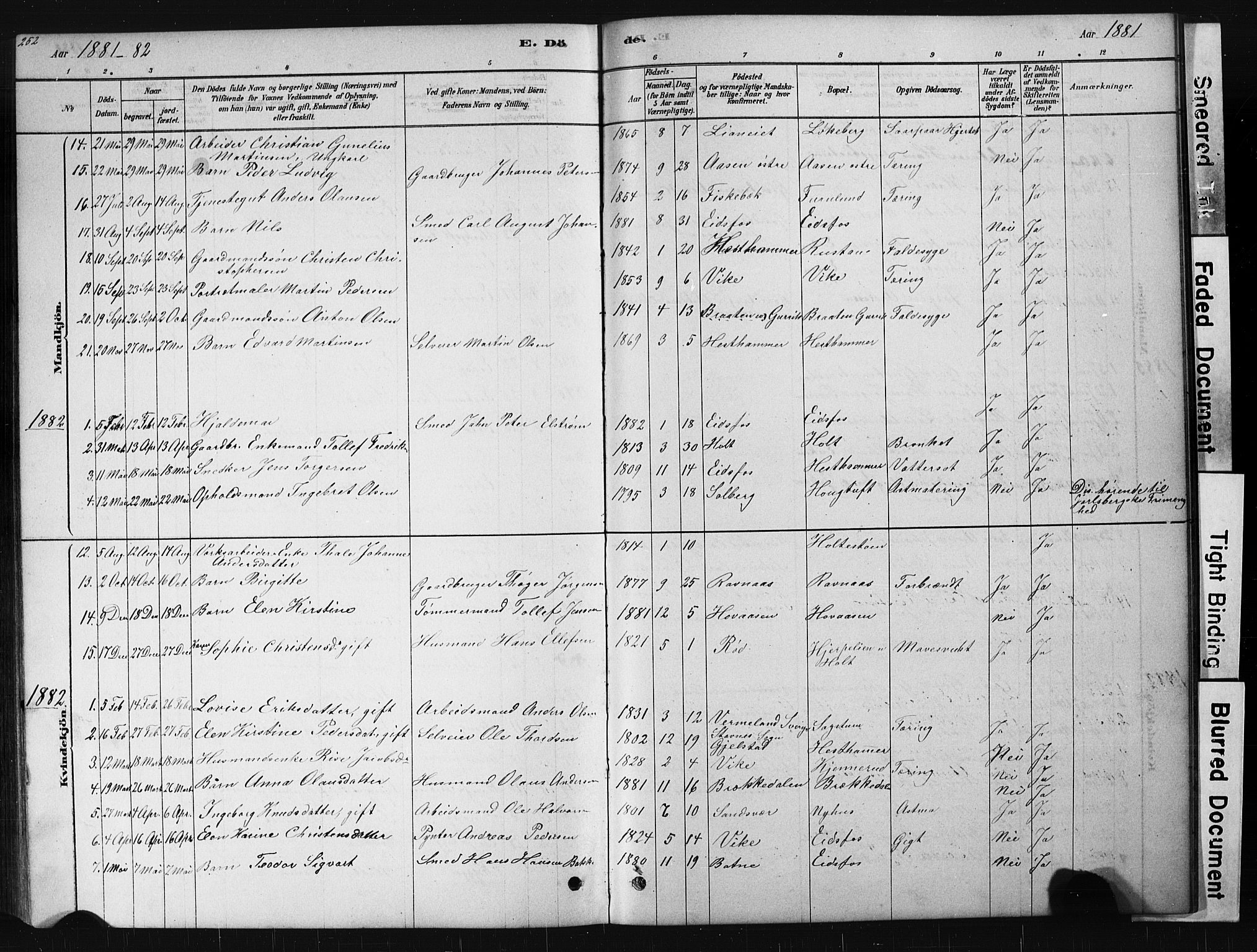 Hof kirkebøker, AV/SAKO-A-64/G/Ga/L0004: Parish register (copy) no. I 4, 1878-1930, p. 252