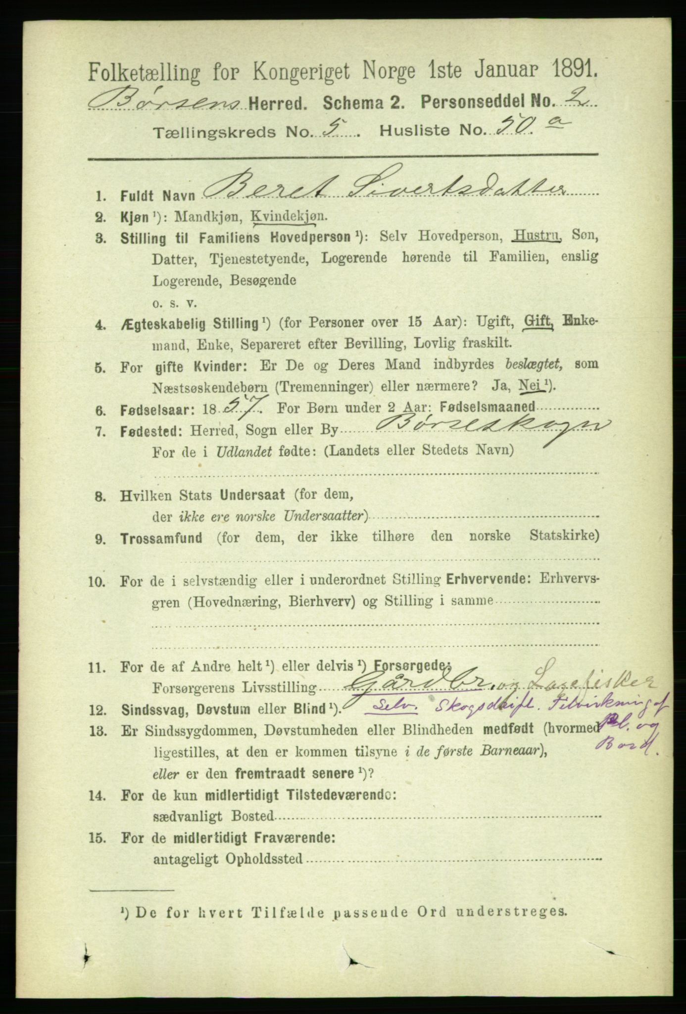 RA, 1891 census for 1658 Børsa, 1891, p. 2262