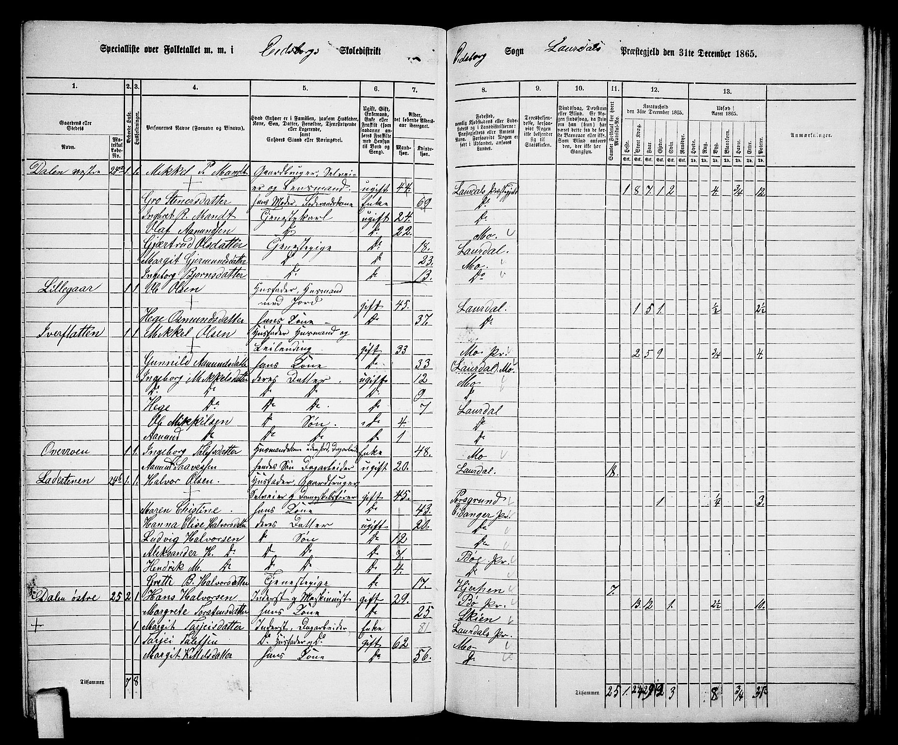 RA, 1865 census for Lårdal, 1865, p. 25