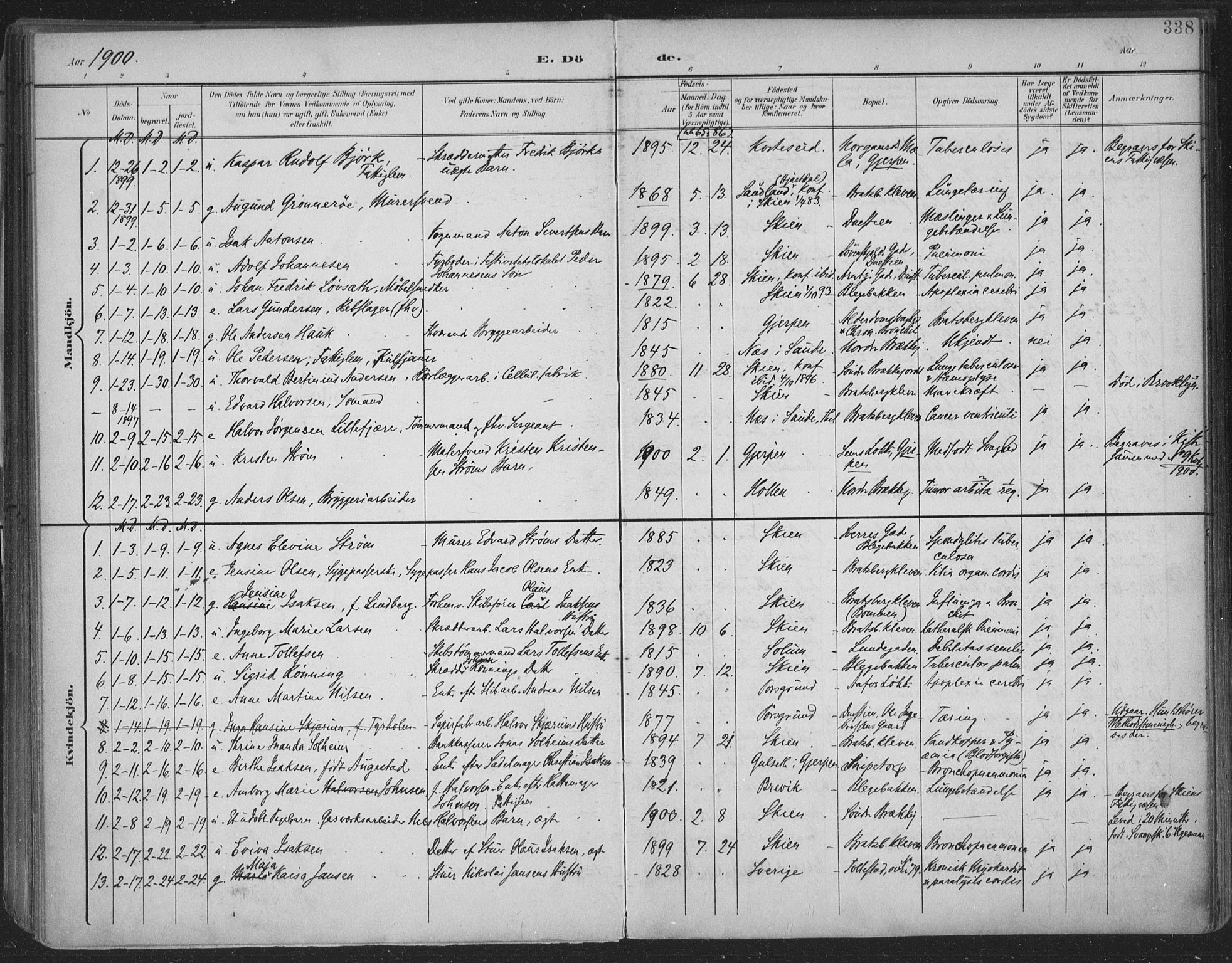 Skien kirkebøker, SAKO/A-302/F/Fa/L0011: Parish register (official) no. 11, 1900-1907, p. 338