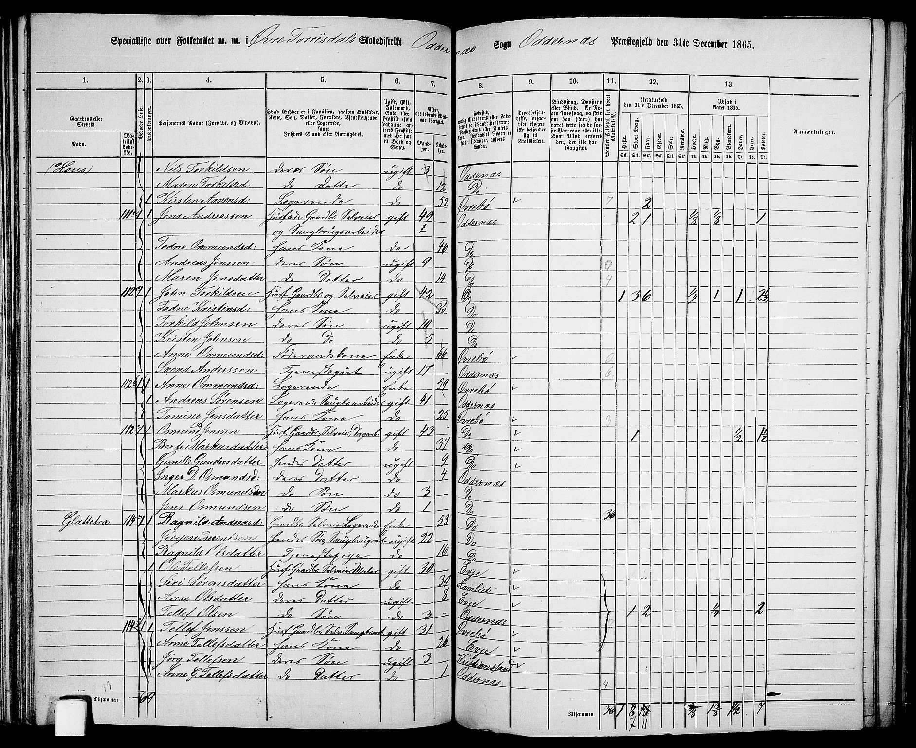 RA, 1865 census for Oddernes, 1865, p. 76