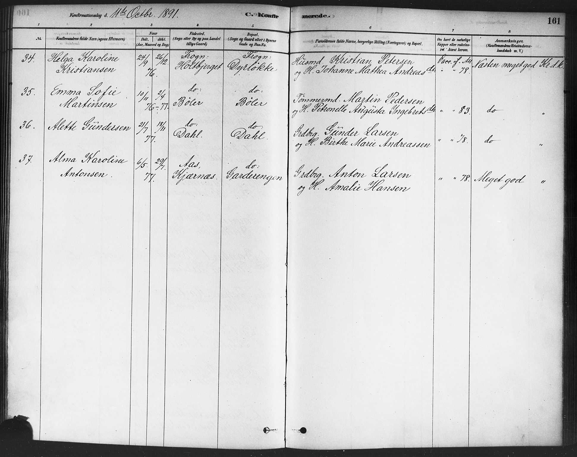 Drøbak prestekontor Kirkebøker, SAO/A-10142a/F/Fc/L0002: Parish register (official) no. III 2, 1878-1891, p. 161