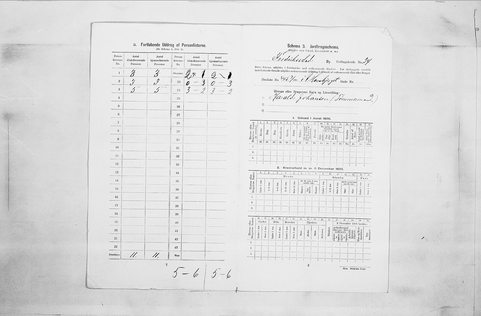 SAO, 1900 census for Fredrikstad, 1900