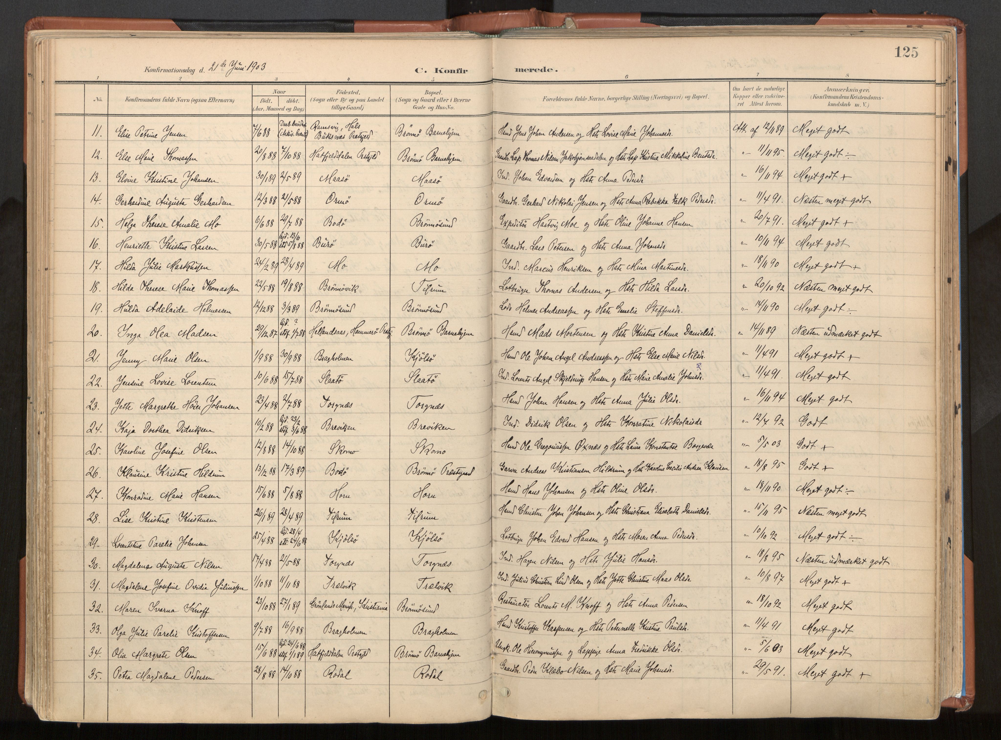 Ministerialprotokoller, klokkerbøker og fødselsregistre - Nordland, SAT/A-1459/813/L0201: Parish register (official) no. 813A11, 1901-1918, p. 125