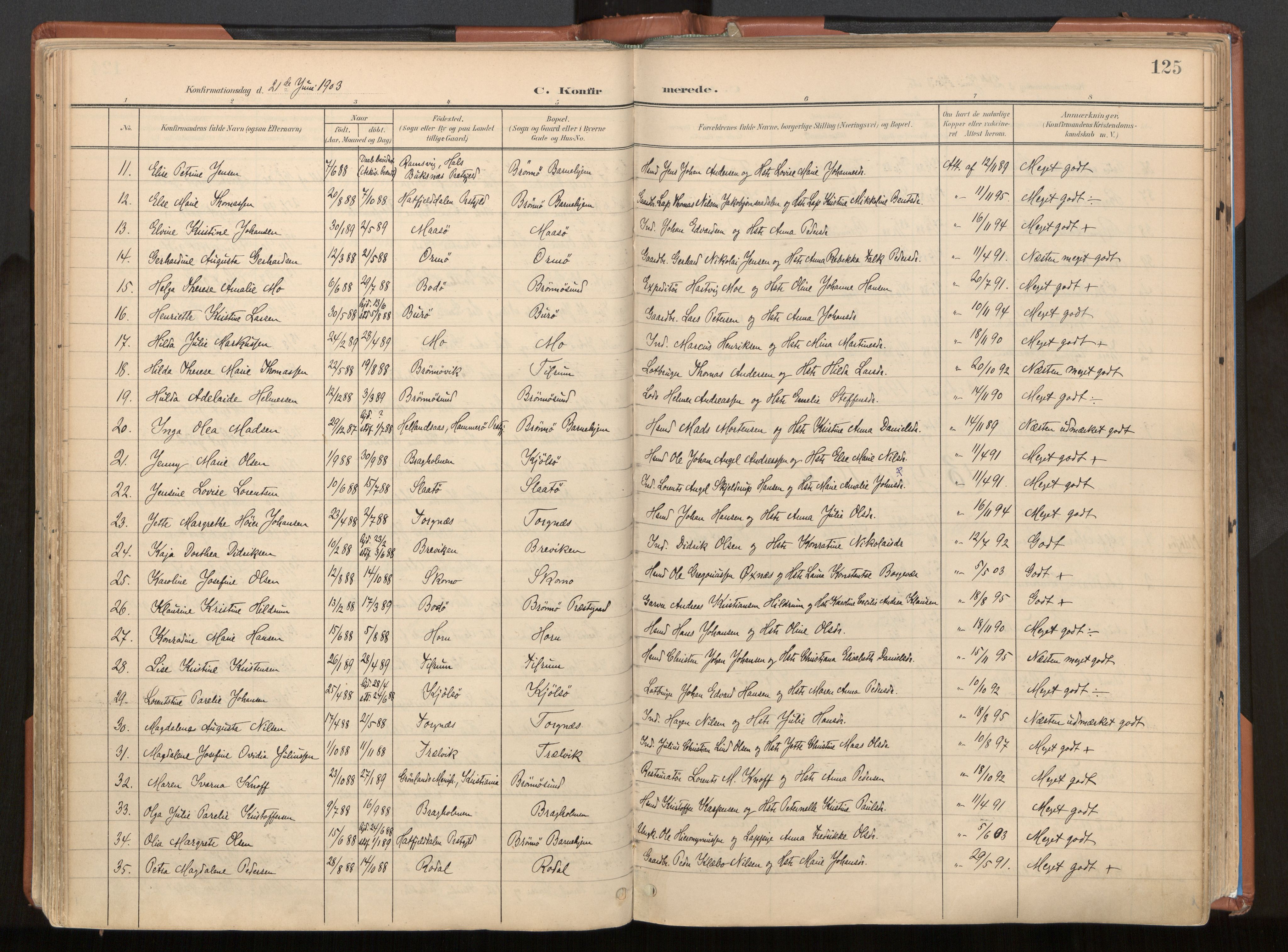 Ministerialprotokoller, klokkerbøker og fødselsregistre - Nordland, AV/SAT-A-1459/813/L0201: Parish register (official) no. 813A11, 1901-1918, p. 125