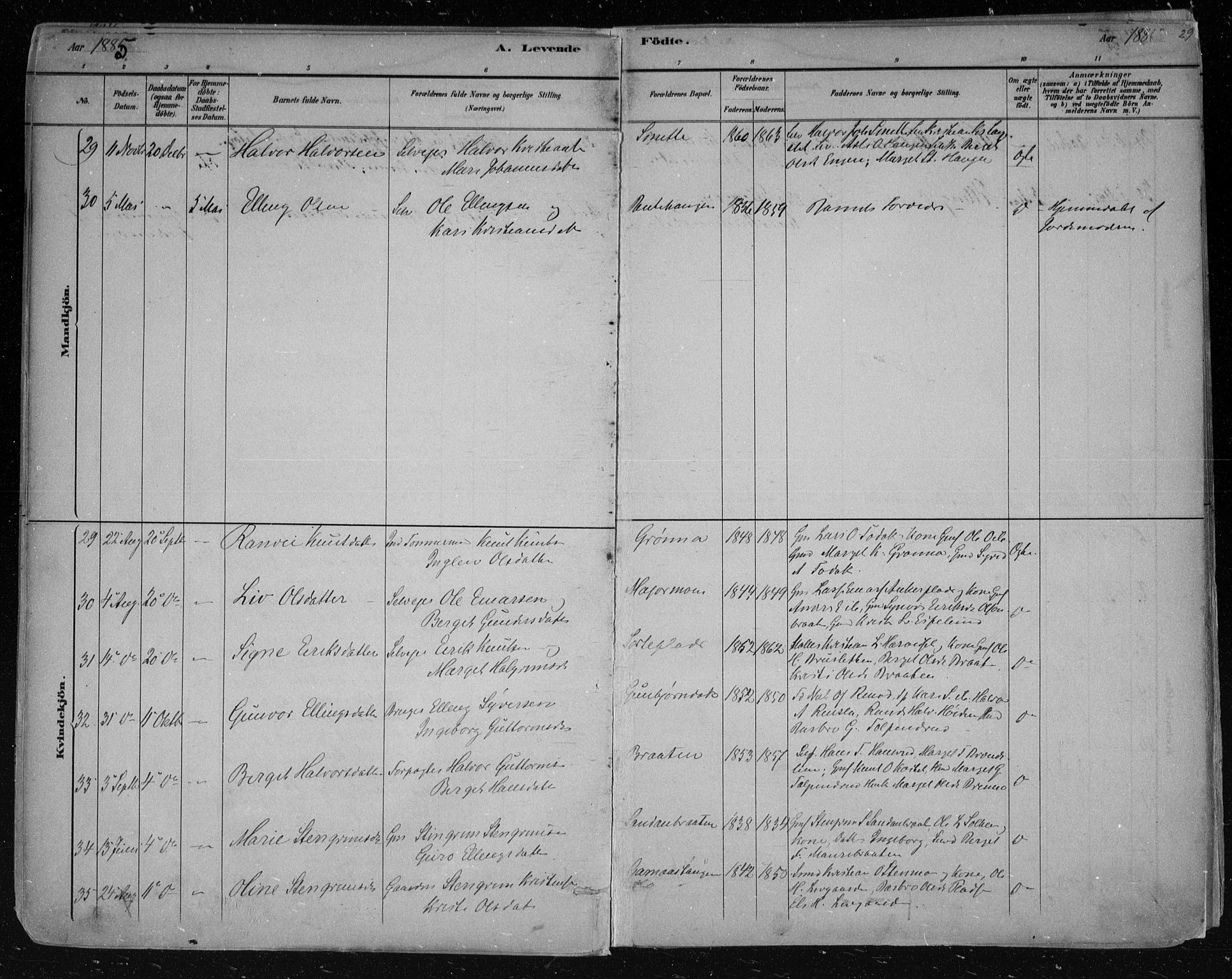 Nes kirkebøker, AV/SAKO-A-236/F/Fa/L0011: Parish register (official) no. 11, 1881-1912, p. 29