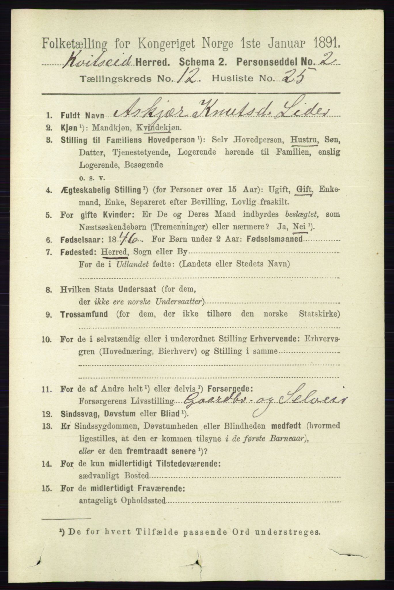 RA, 1891 census for 0829 Kviteseid, 1891, p. 3027