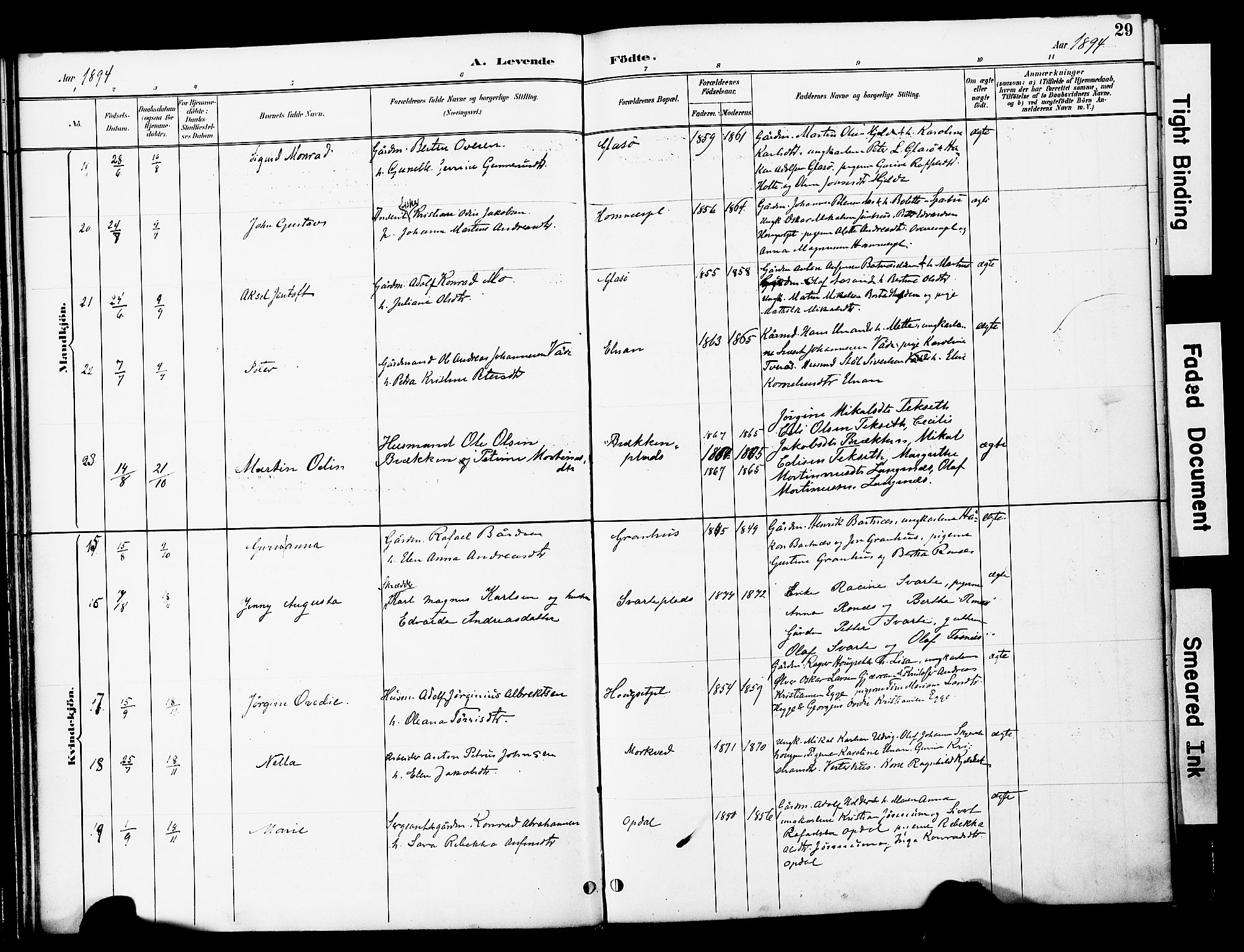 Ministerialprotokoller, klokkerbøker og fødselsregistre - Nord-Trøndelag, SAT/A-1458/741/L0396: Parish register (official) no. 741A10, 1889-1901, p. 29