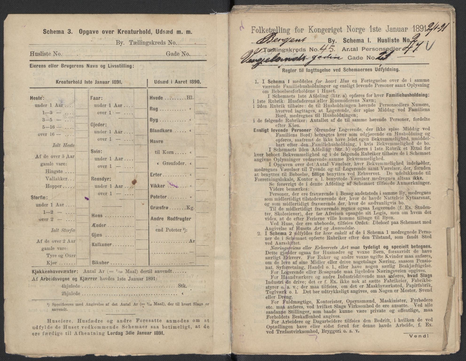 RA, 1891 Census for 1301 Bergen, 1891, p. 7429