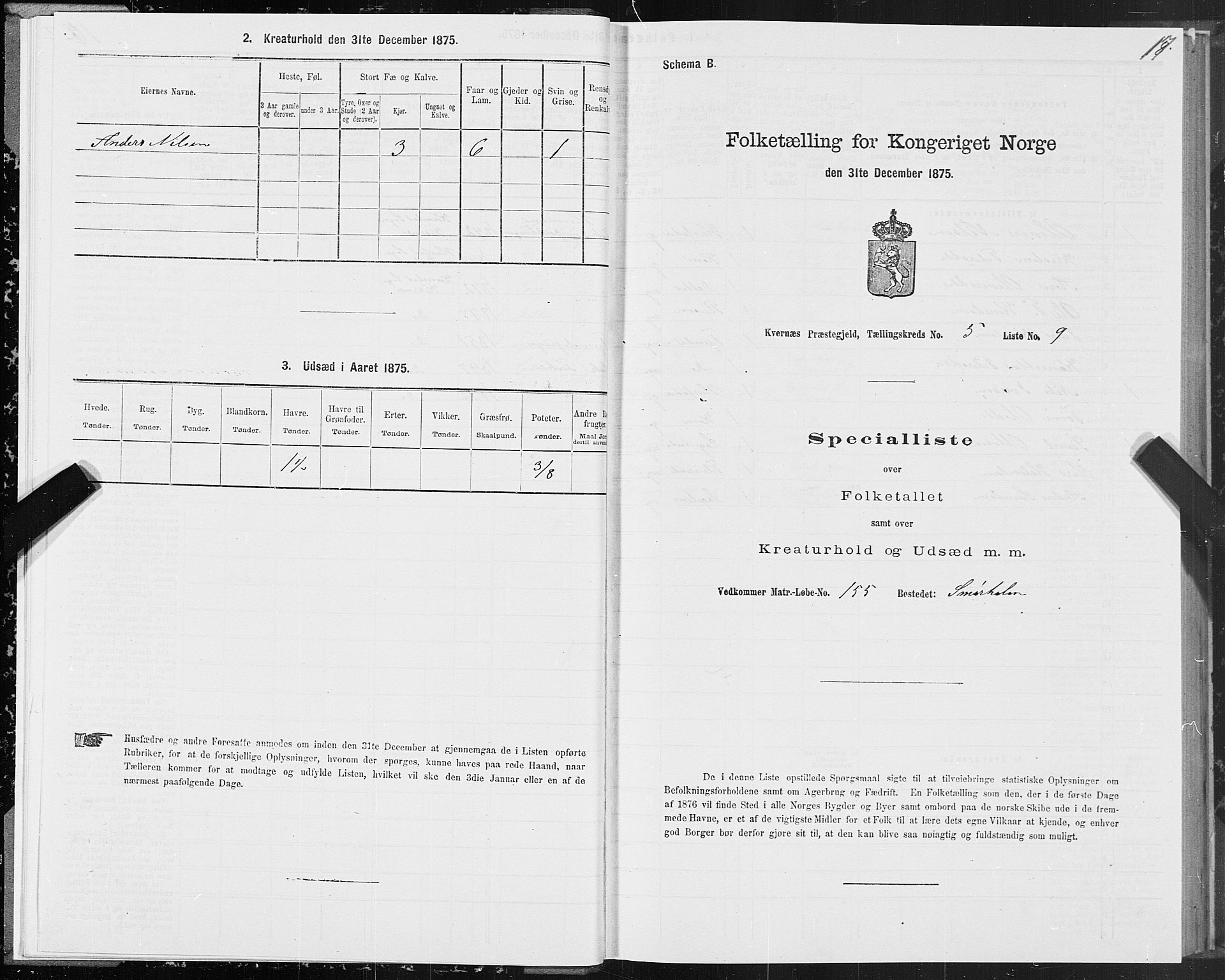 SAT, 1875 census for 1553P Kvernes, 1875, p. 3017
