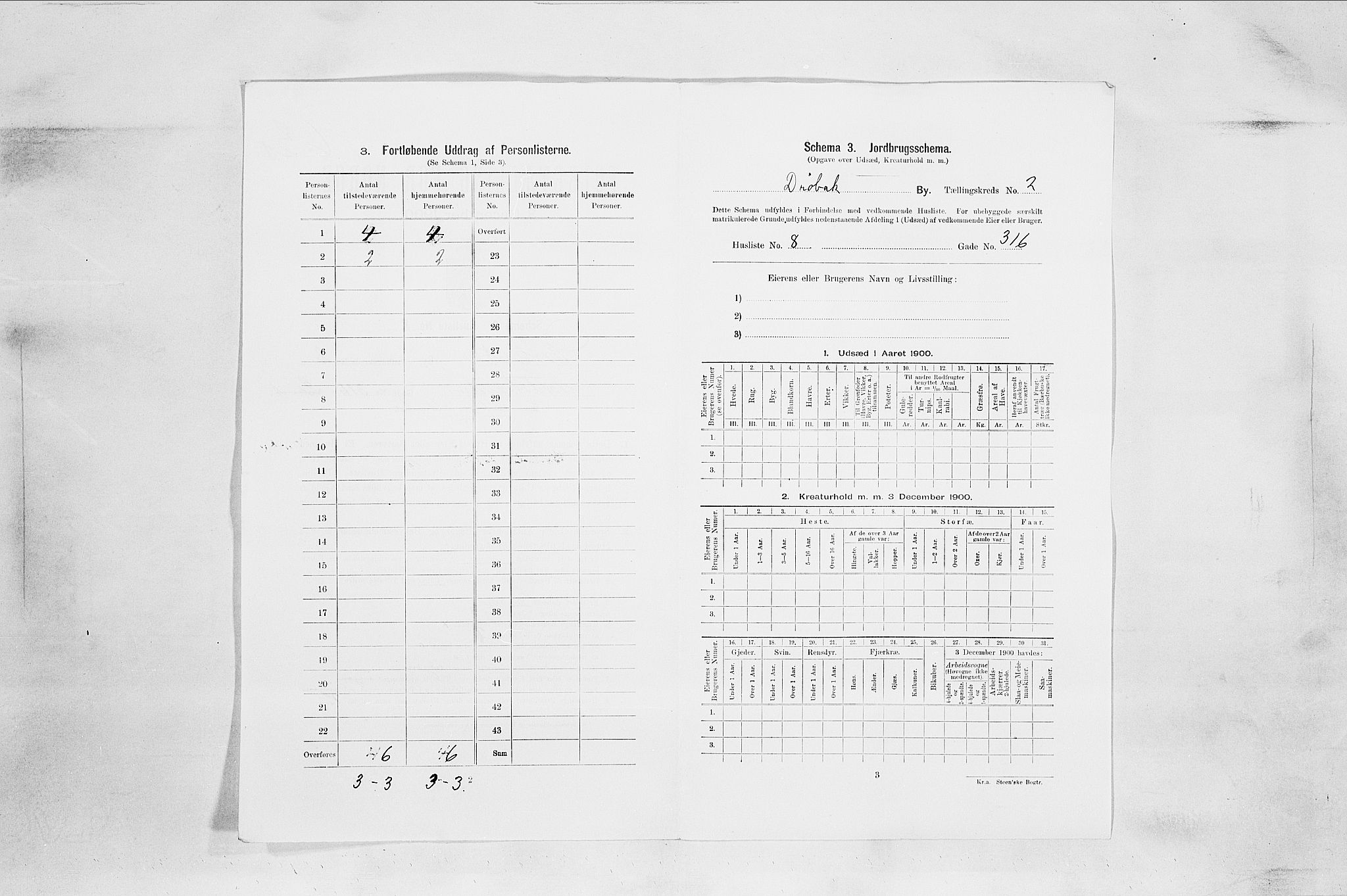 SAO, 1900 census for Drøbak, 1900