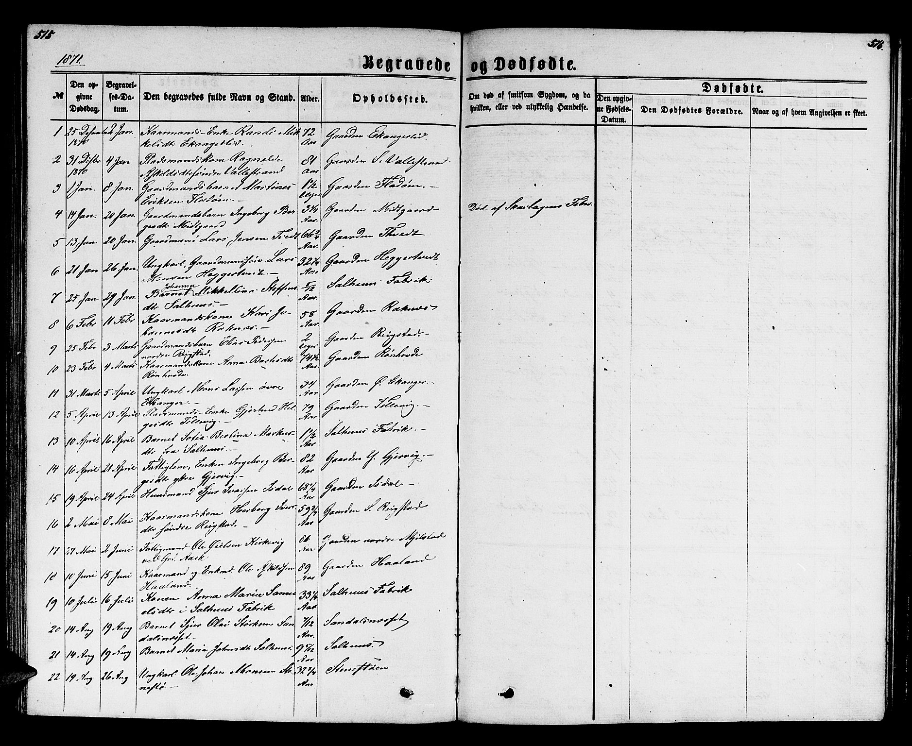 Hamre sokneprestembete, SAB/A-75501/H/Ha/Hab: Parish register (copy) no. B 2, 1863-1880, p. 515-516