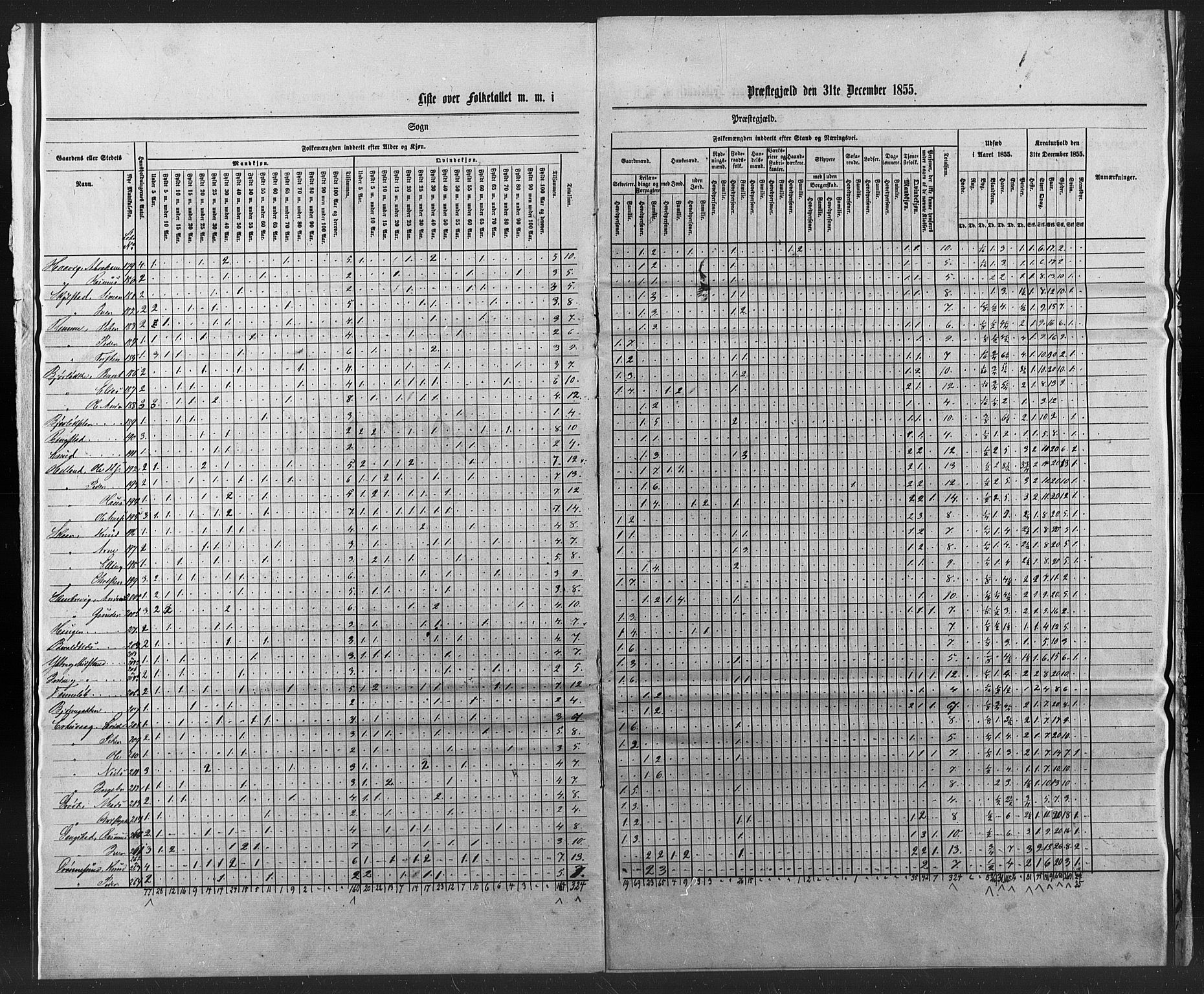 SAT, Census 1855 for Borgund, 1855, p. 10