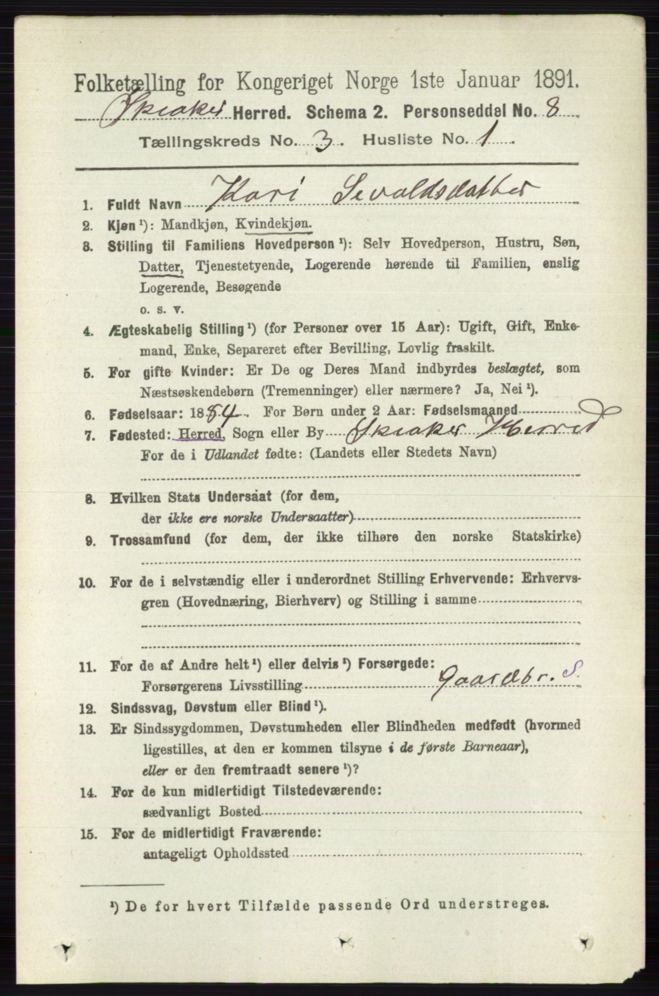 RA, 1891 census for 0513 Skjåk, 1891, p. 956