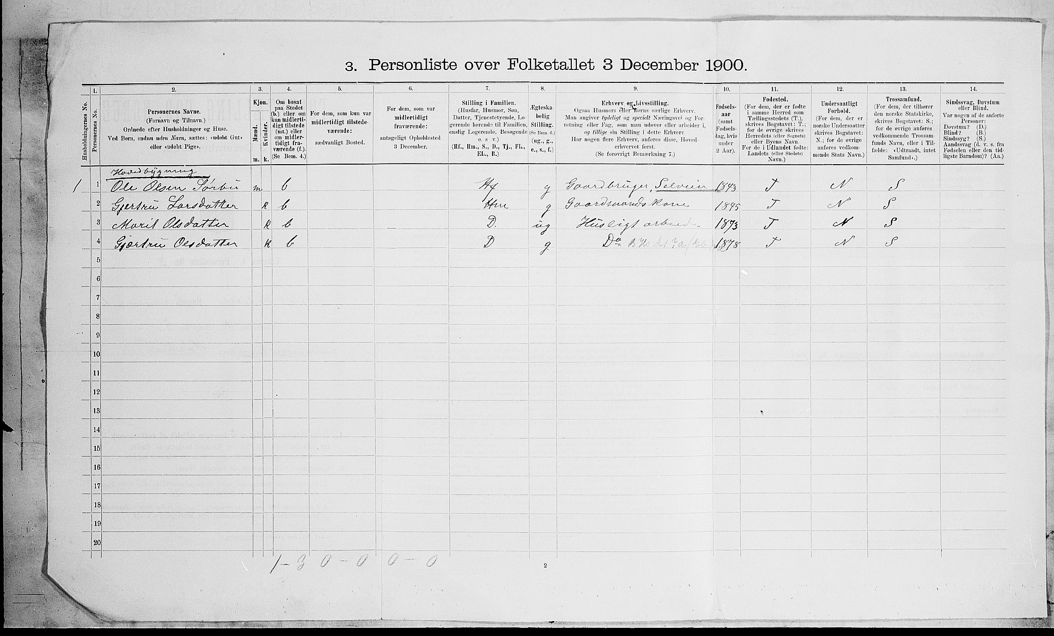 SAH, 1900 census for Vang, 1900, p. 39