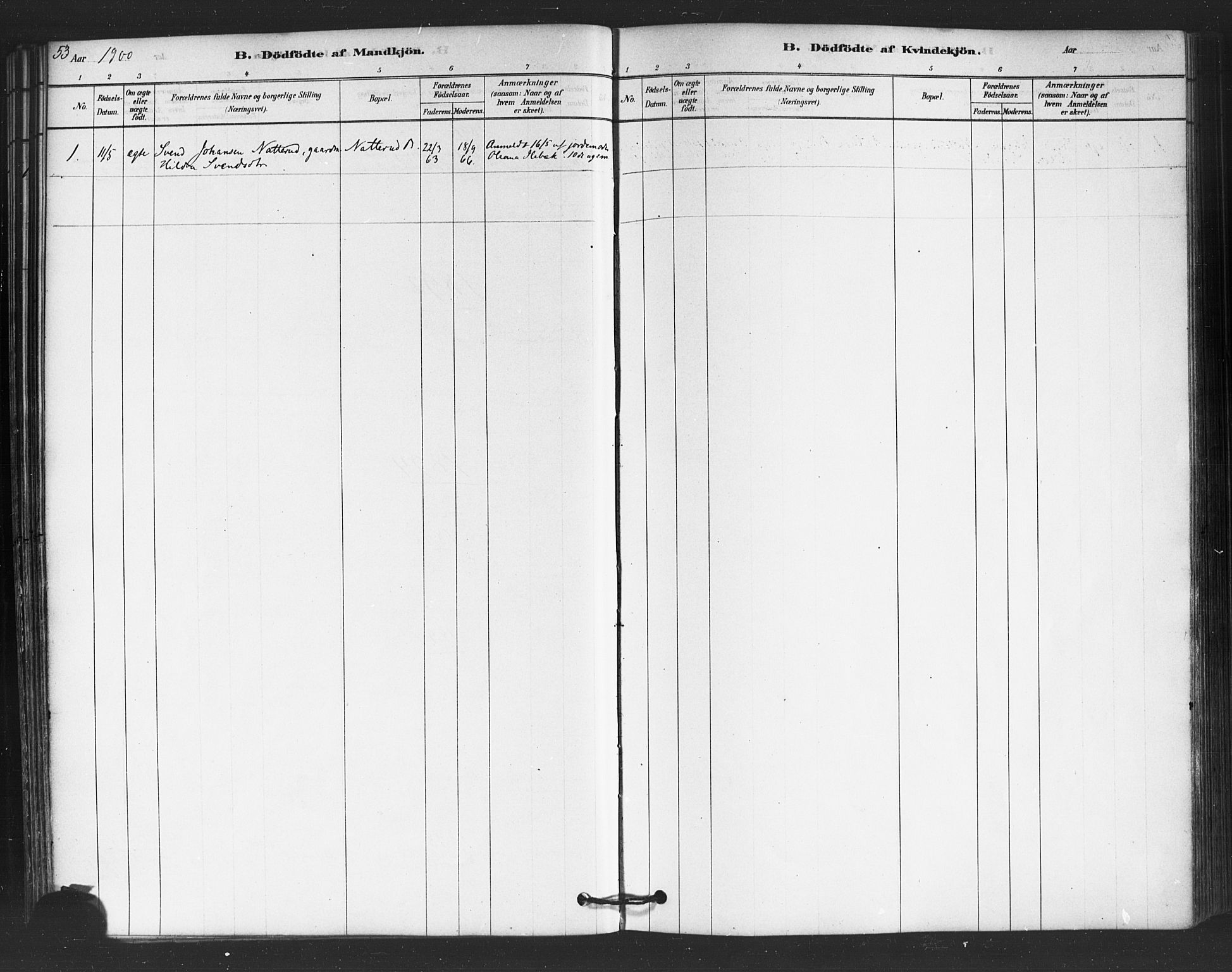 Trøgstad prestekontor Kirkebøker, SAO/A-10925/F/Fb/L0001: Parish register (official) no. II 1, 1878-1902, p. 53