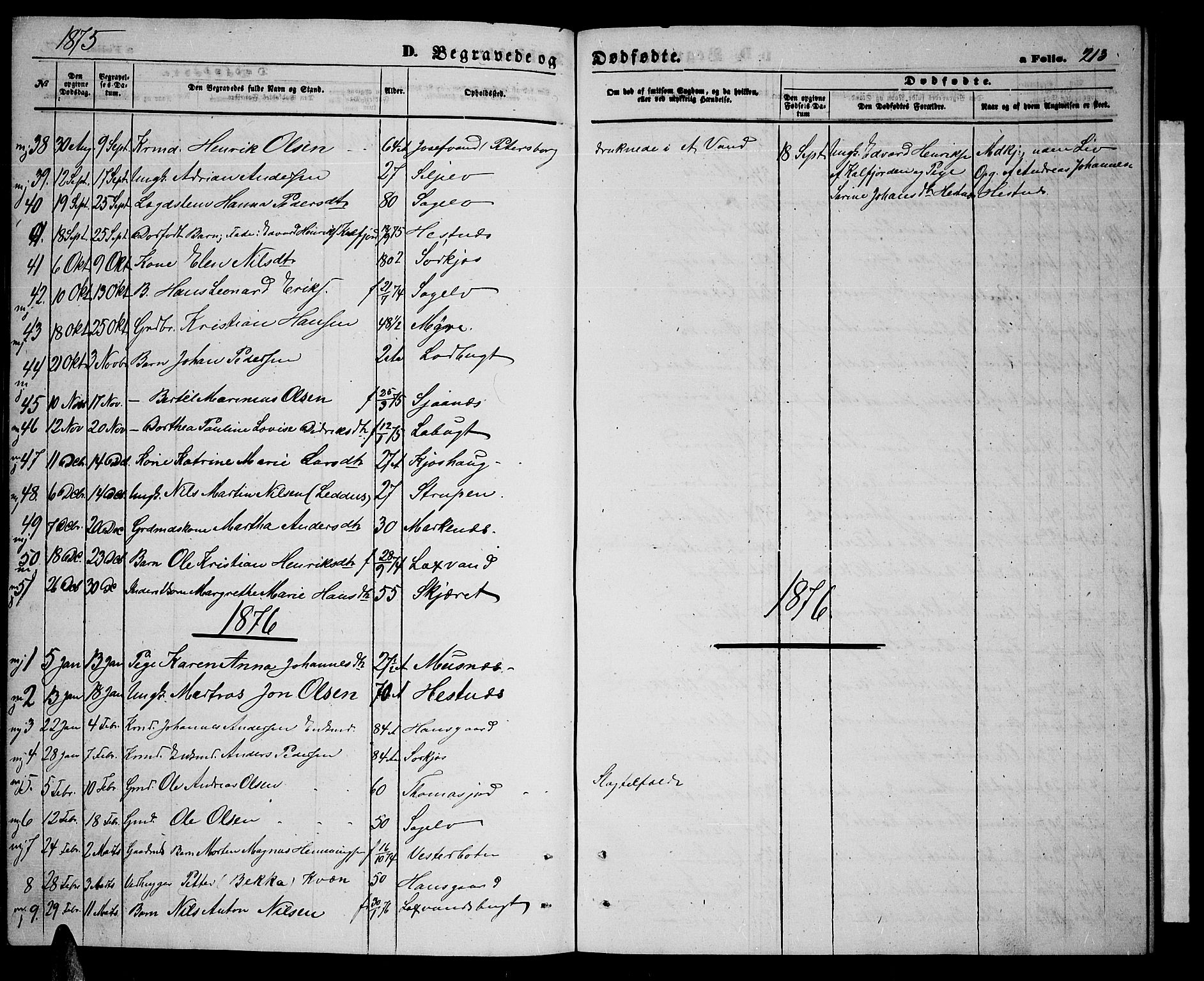 Balsfjord sokneprestembete, SATØ/S-1303/G/Ga/L0006klokker: Parish register (copy) no. 6, 1863-1878, p. 213