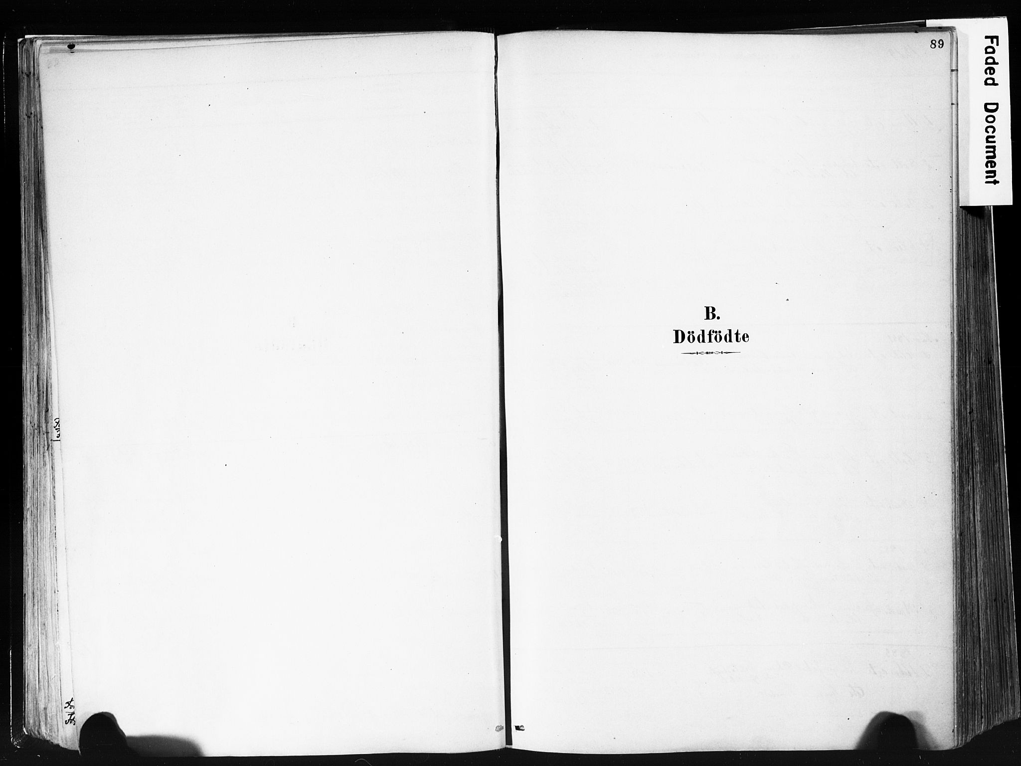 Eidanger kirkebøker, SAKO/A-261/F/Fa/L0012: Parish register (official) no. 12, 1879-1900, p. 89