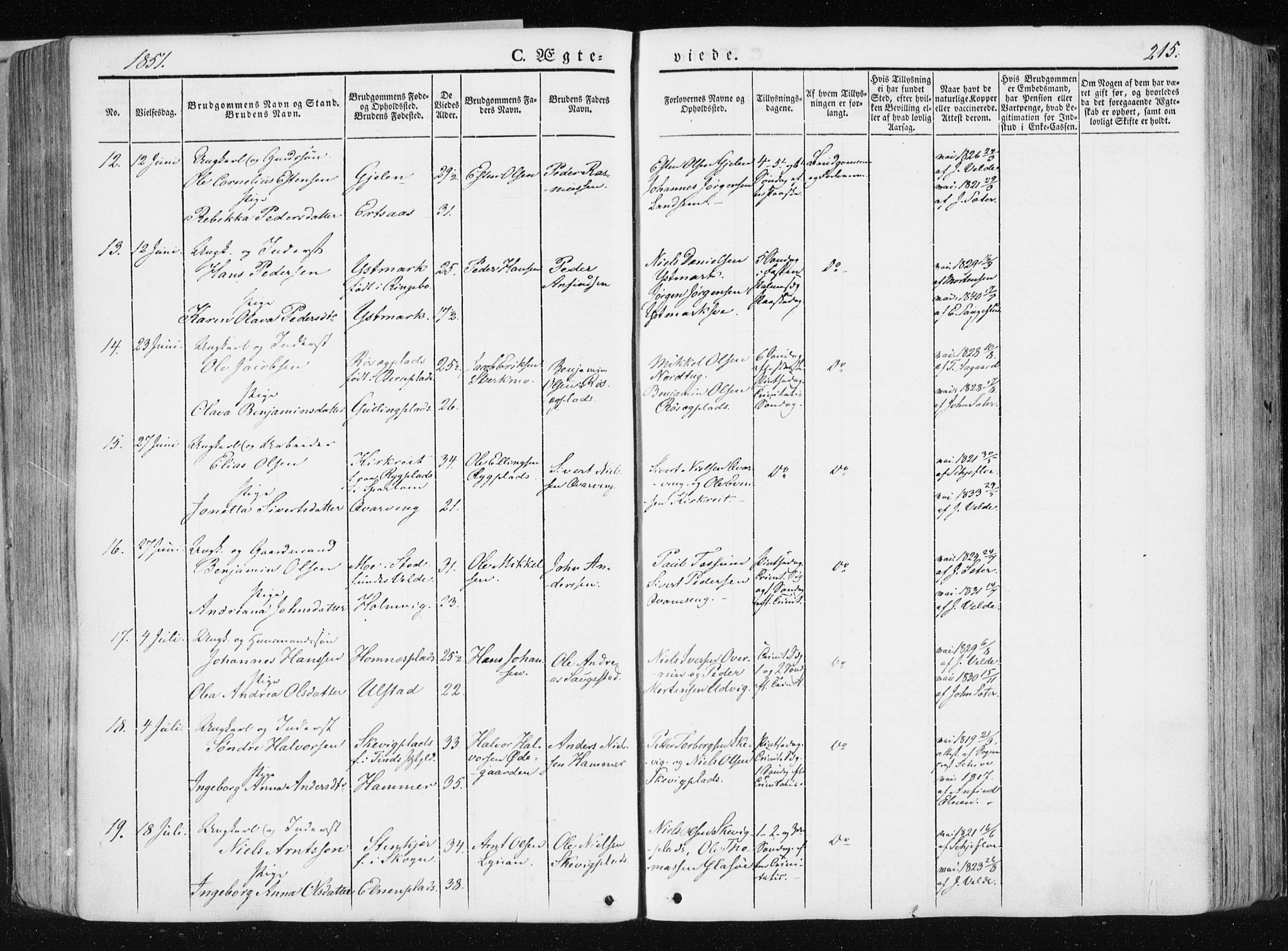 Ministerialprotokoller, klokkerbøker og fødselsregistre - Nord-Trøndelag, AV/SAT-A-1458/741/L0393: Parish register (official) no. 741A07, 1849-1863, p. 215