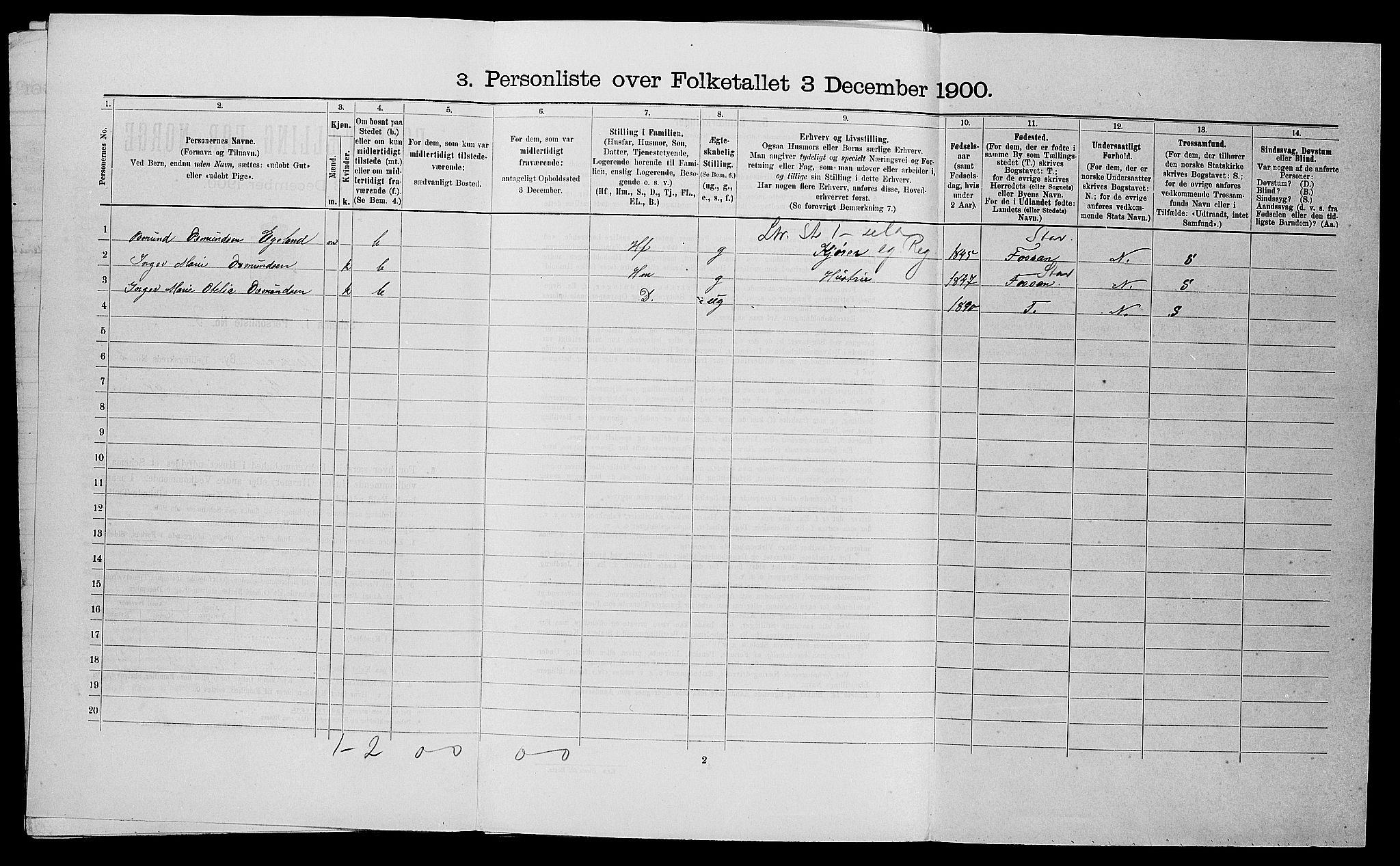 SAST, 1900 census for Stavanger, 1900, p. 894