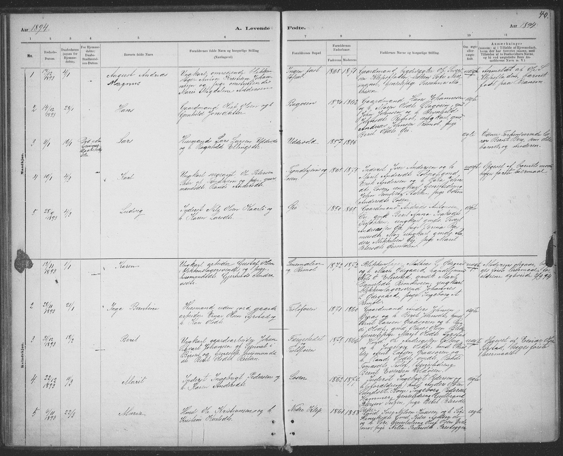 Ministerialprotokoller, klokkerbøker og fødselsregistre - Sør-Trøndelag, SAT/A-1456/691/L1085: Parish register (official) no. 691A17, 1887-1908, p. 40