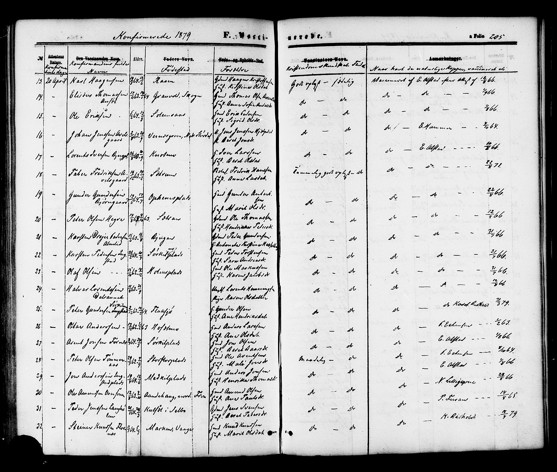 Ministerialprotokoller, klokkerbøker og fødselsregistre - Nord-Trøndelag, AV/SAT-A-1458/703/L0029: Parish register (official) no. 703A02, 1863-1879, p. 205