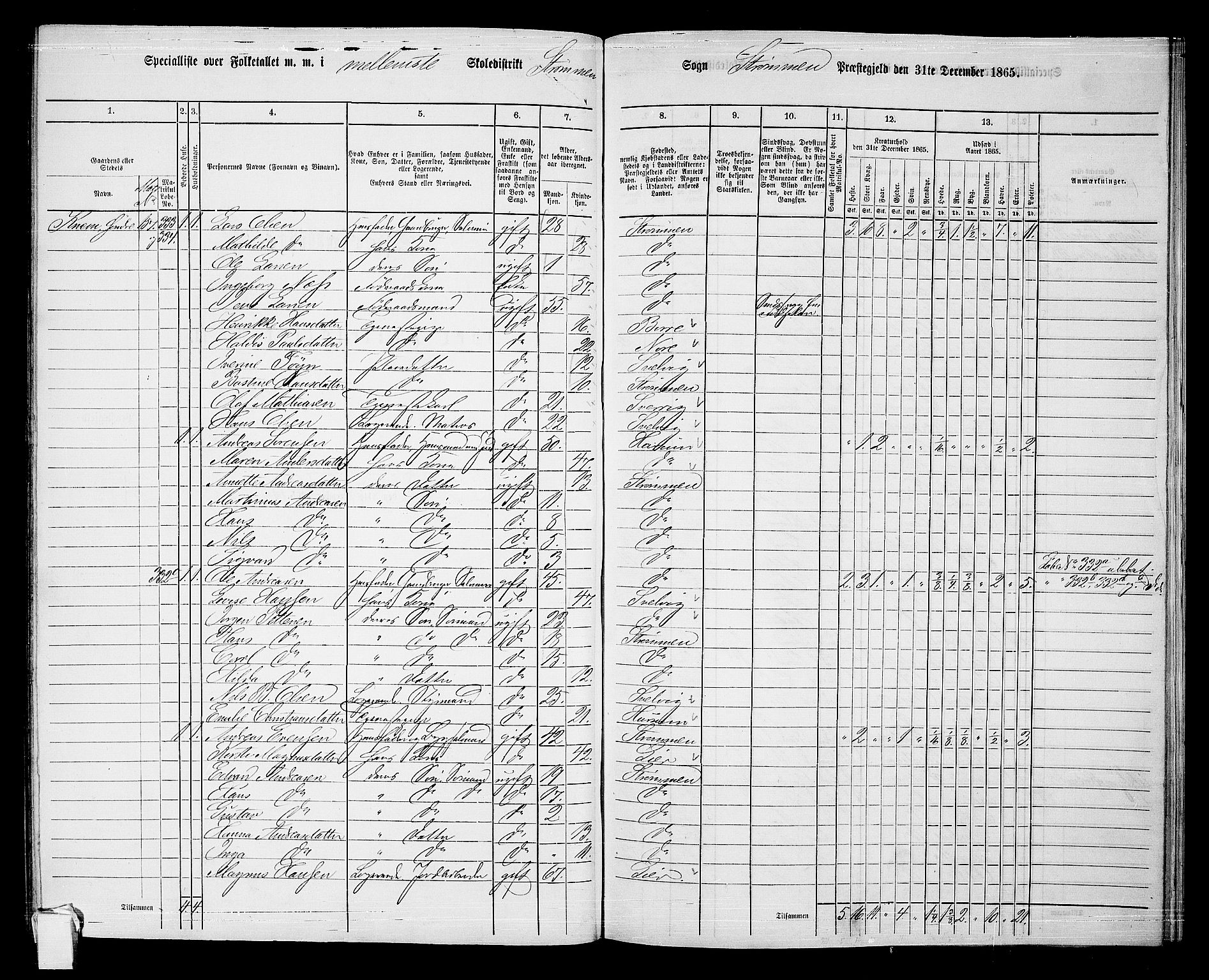 RA, 1865 census for Strømm, 1865, p. 17