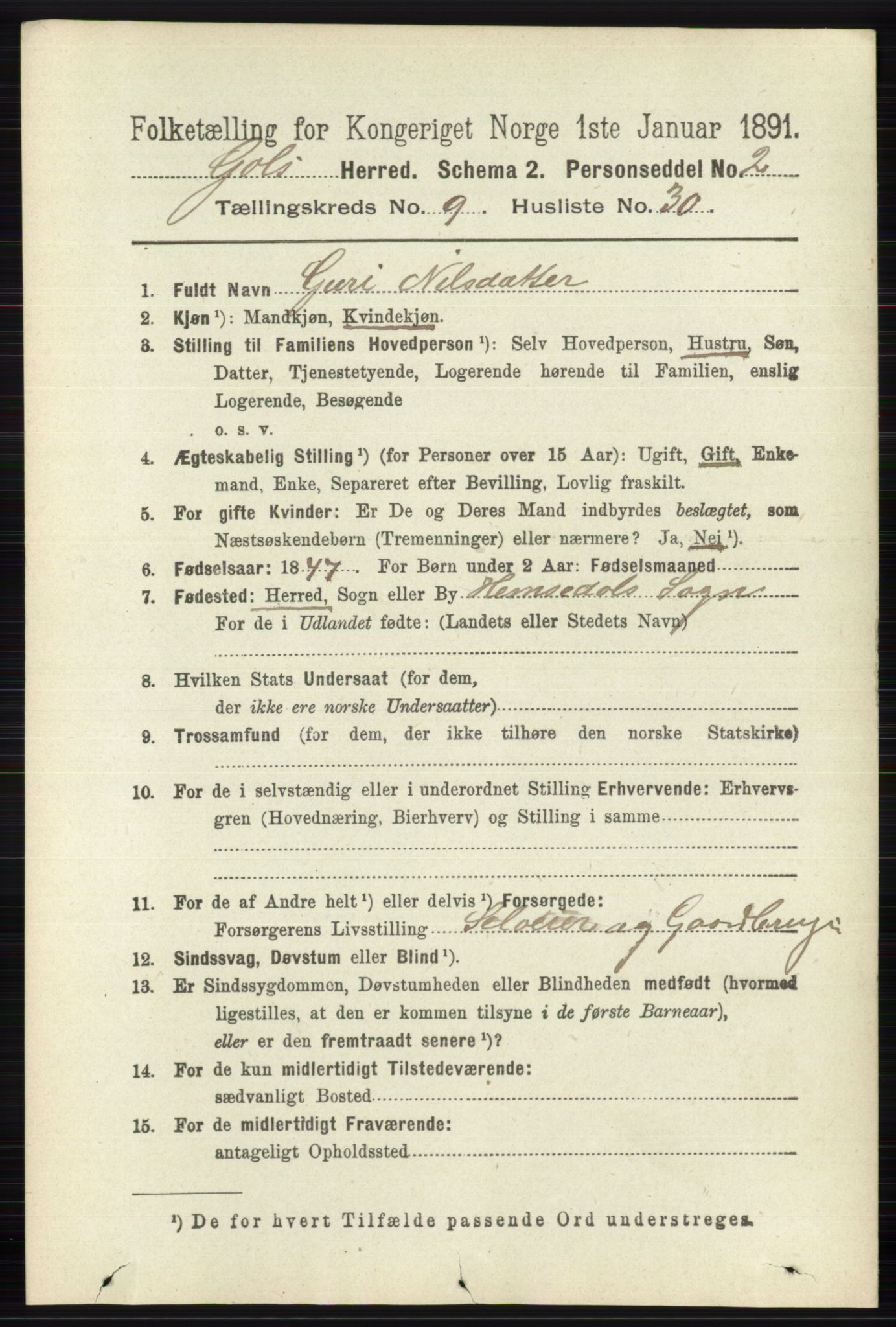 RA, 1891 census for 0617 Gol og Hemsedal, 1891, p. 3567