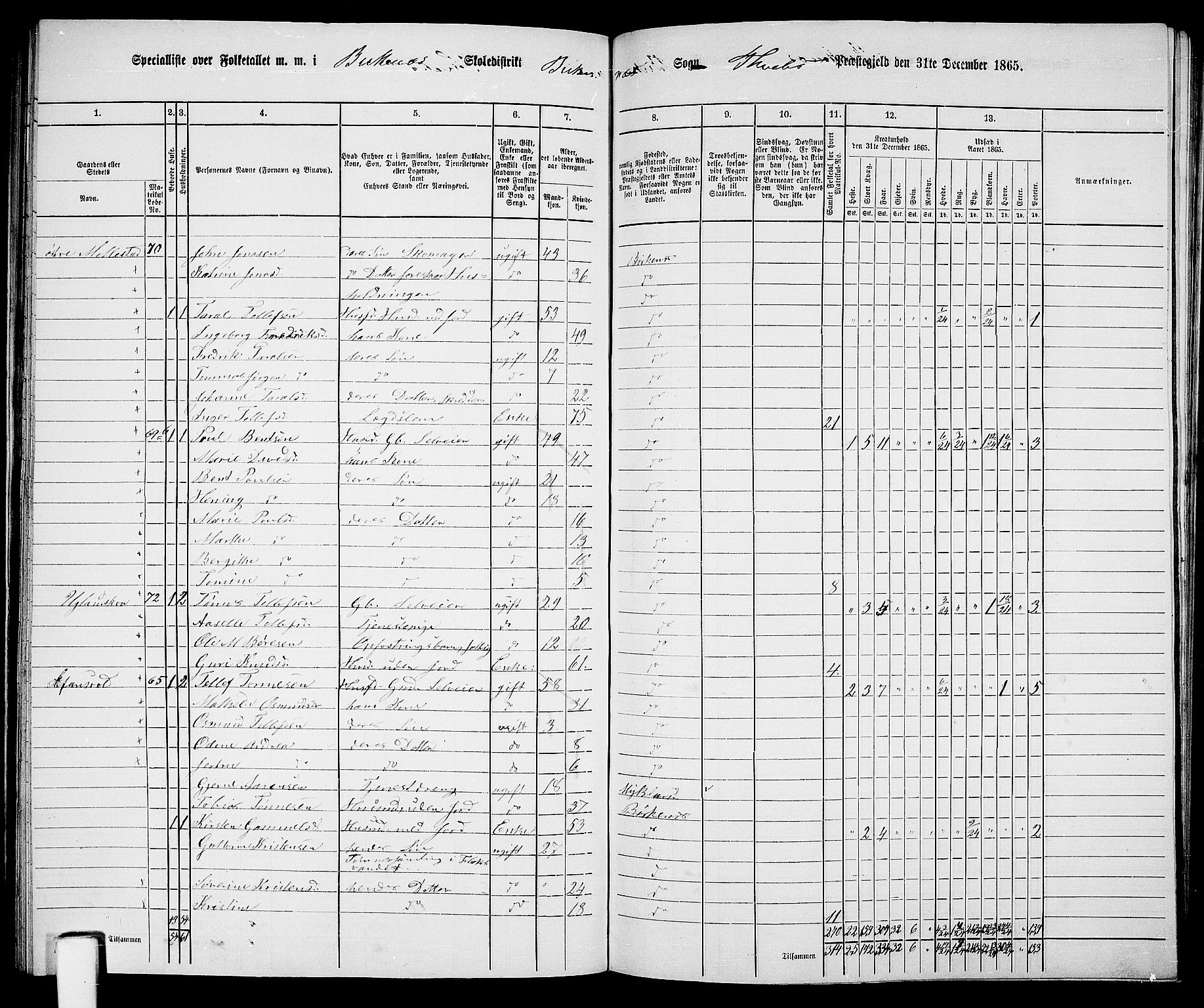 RA, 1865 census for Tveit, 1865, p. 107