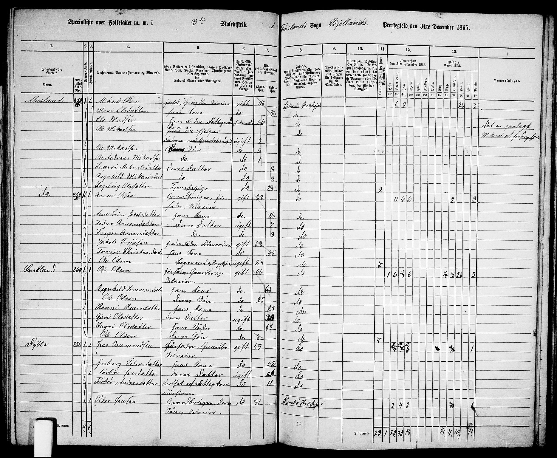 RA, 1865 census for Bjelland, 1865, p. 36