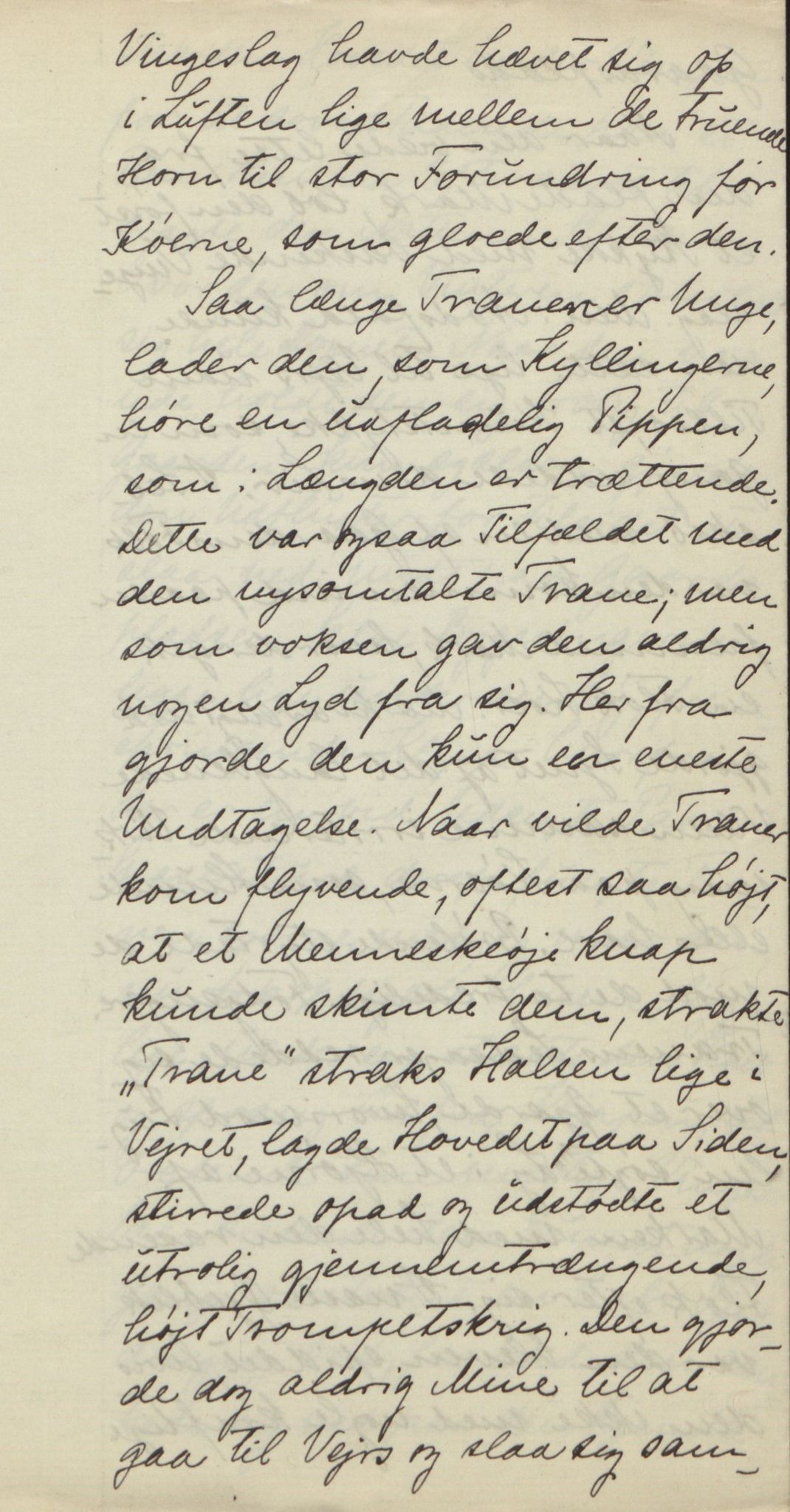 Rikard Berge, TEMU/TGM-A-1003/F/L0018/0056: 600-656 / 655 Brev, kataloger og andre papir til Rikard Berge. Konvolutten merka: Postpapir8, 1910-1950