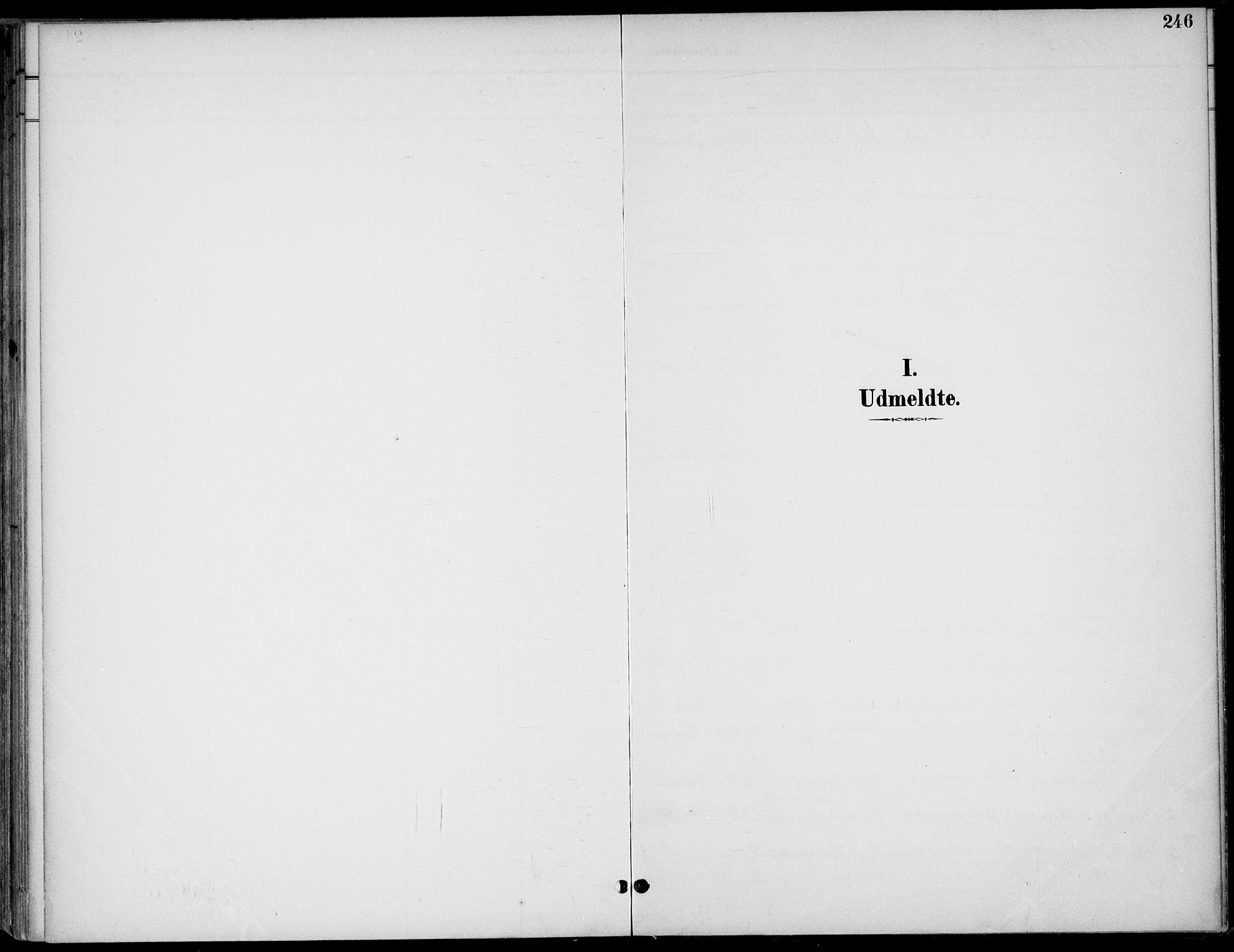 Drangedal kirkebøker, SAKO/A-258/F/Fa/L0012: Parish register (official) no. 12, 1895-1905, p. 246