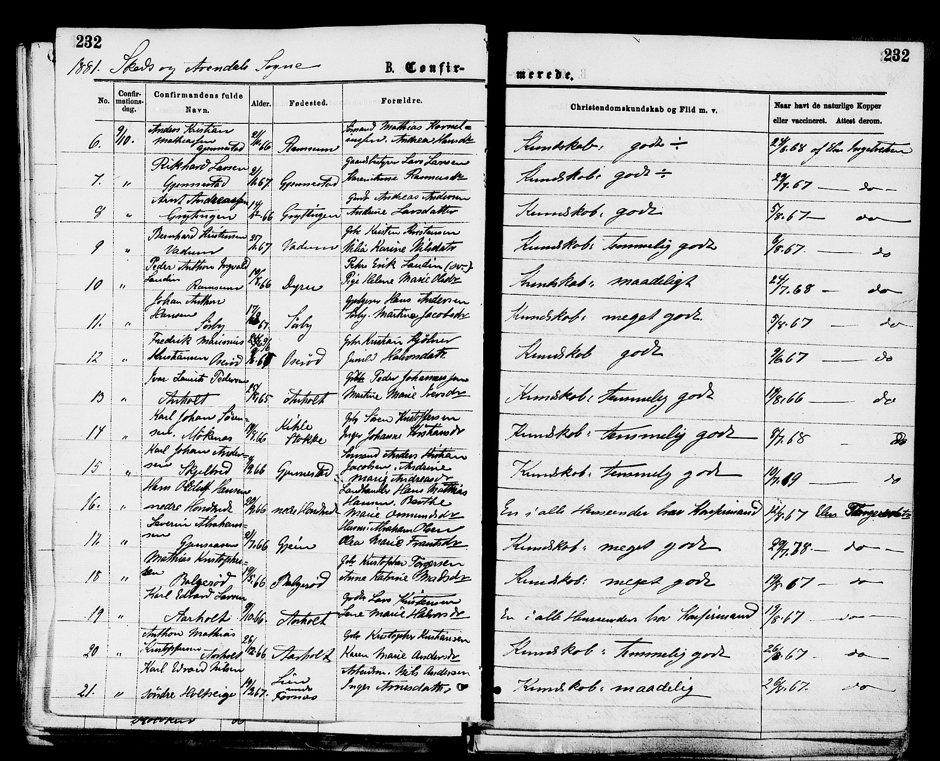 Stokke kirkebøker, AV/SAKO-A-320/F/Fa/L0009: Parish register (official) no. I 9, 1872-1883, p. 232