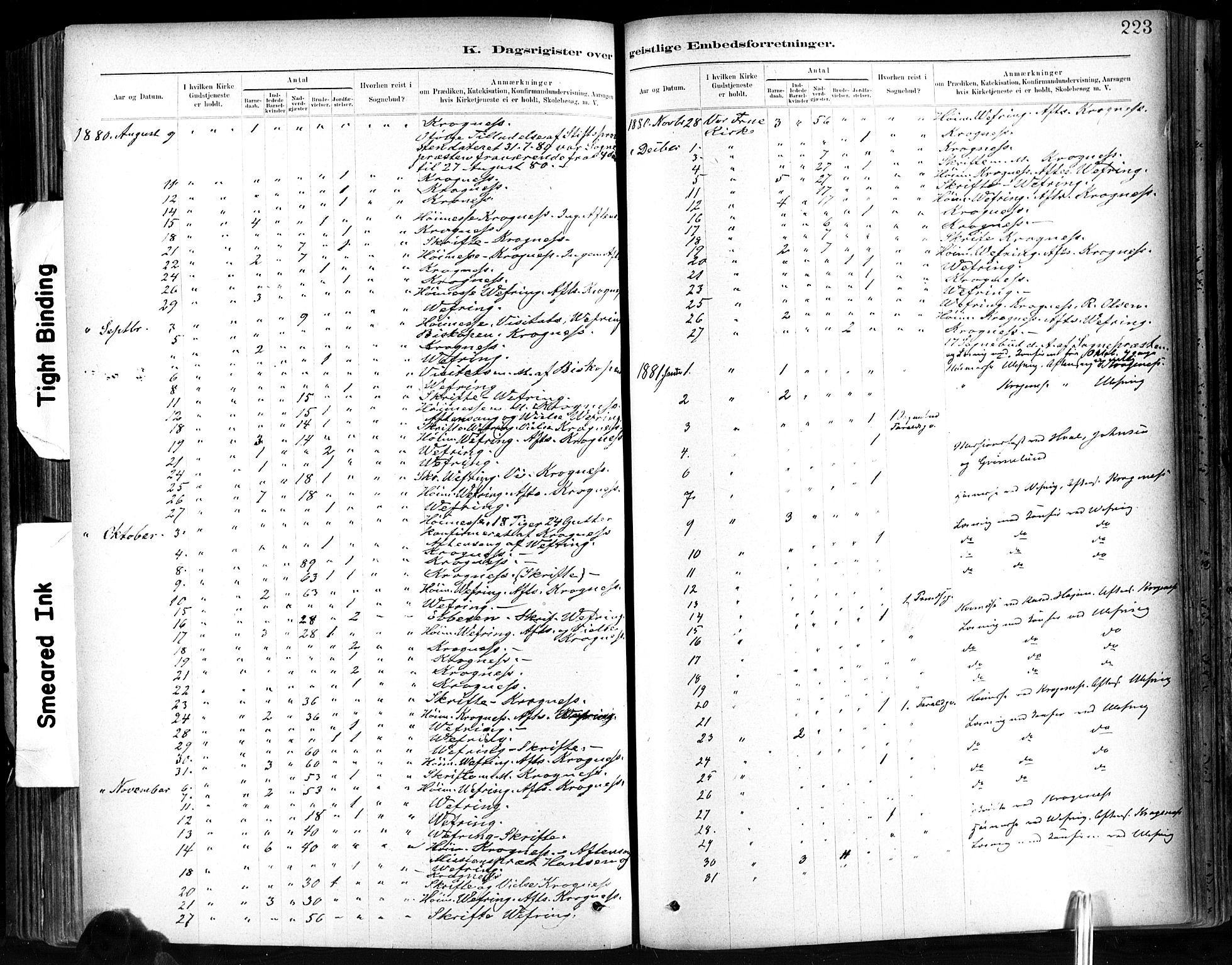Ministerialprotokoller, klokkerbøker og fødselsregistre - Sør-Trøndelag, SAT/A-1456/602/L0120: Parish register (official) no. 602A18, 1880-1913, p. 223