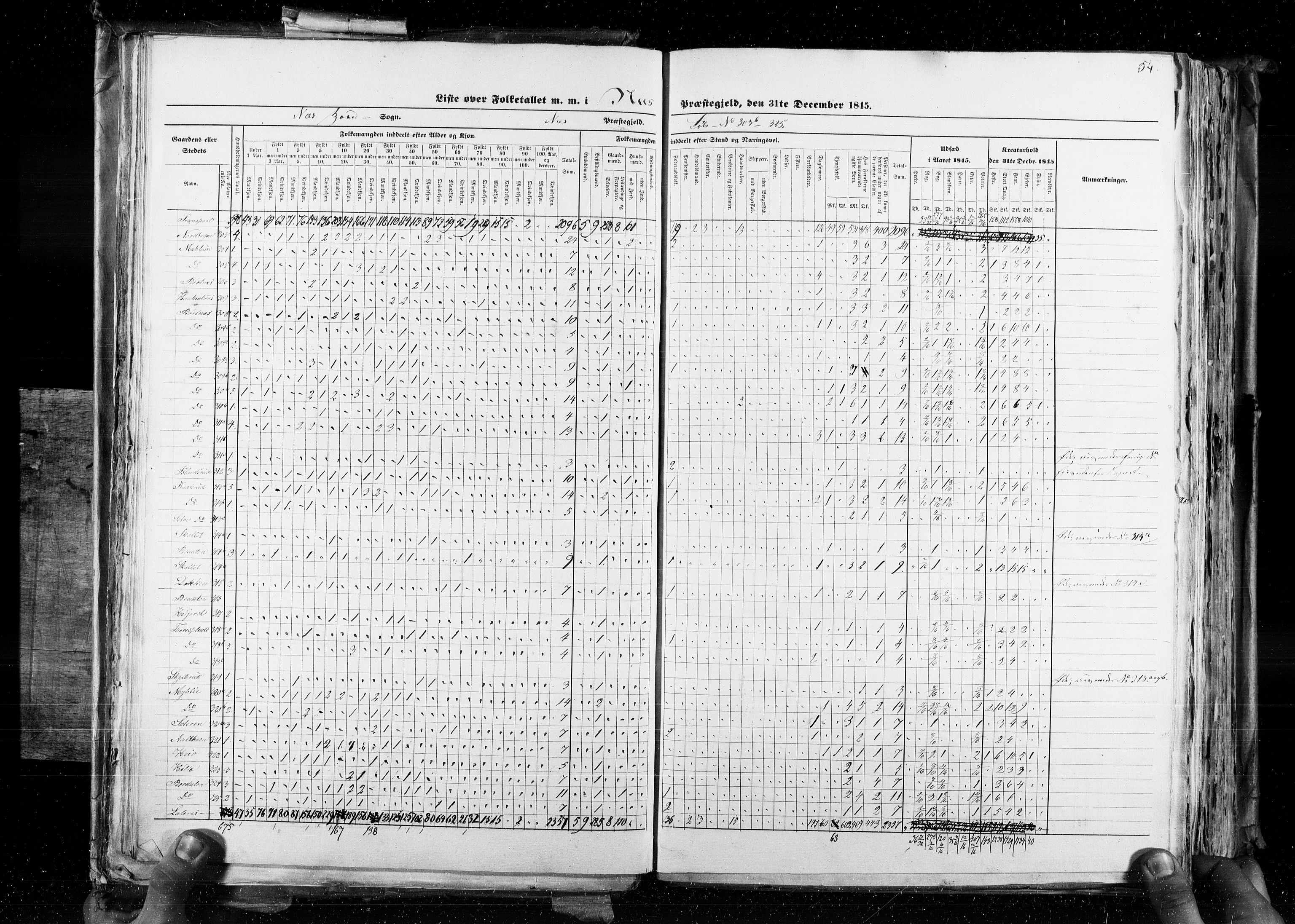 RA, Census 1845, vol. 4: Buskerud amt og Jarlsberg og Larvik amt, 1845, p. 54