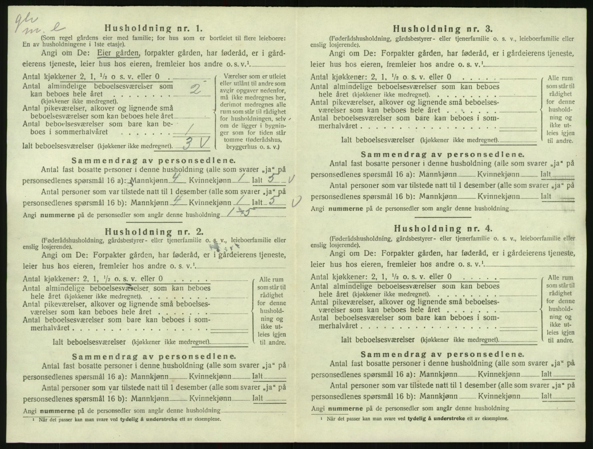 SAK, 1920 census for Hylestad, 1920, p. 241