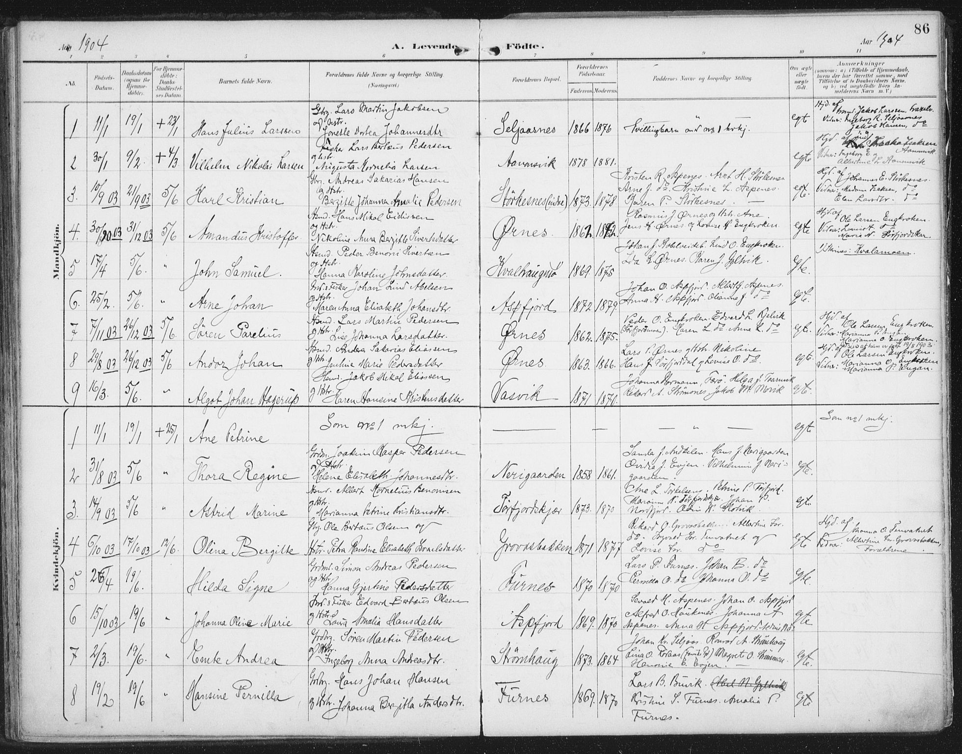 Ministerialprotokoller, klokkerbøker og fødselsregistre - Nordland, SAT/A-1459/854/L0779: Parish register (official) no. 854A02, 1892-1909, p. 86