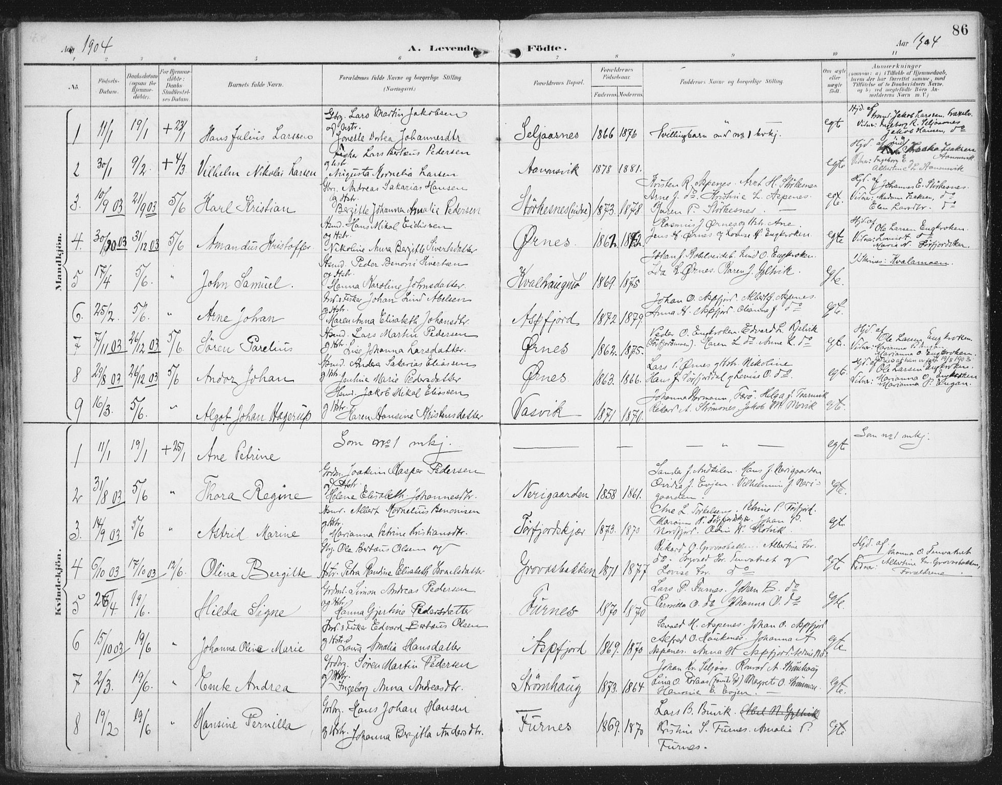 Ministerialprotokoller, klokkerbøker og fødselsregistre - Nordland, AV/SAT-A-1459/854/L0779: Parish register (official) no. 854A02, 1892-1909, p. 86