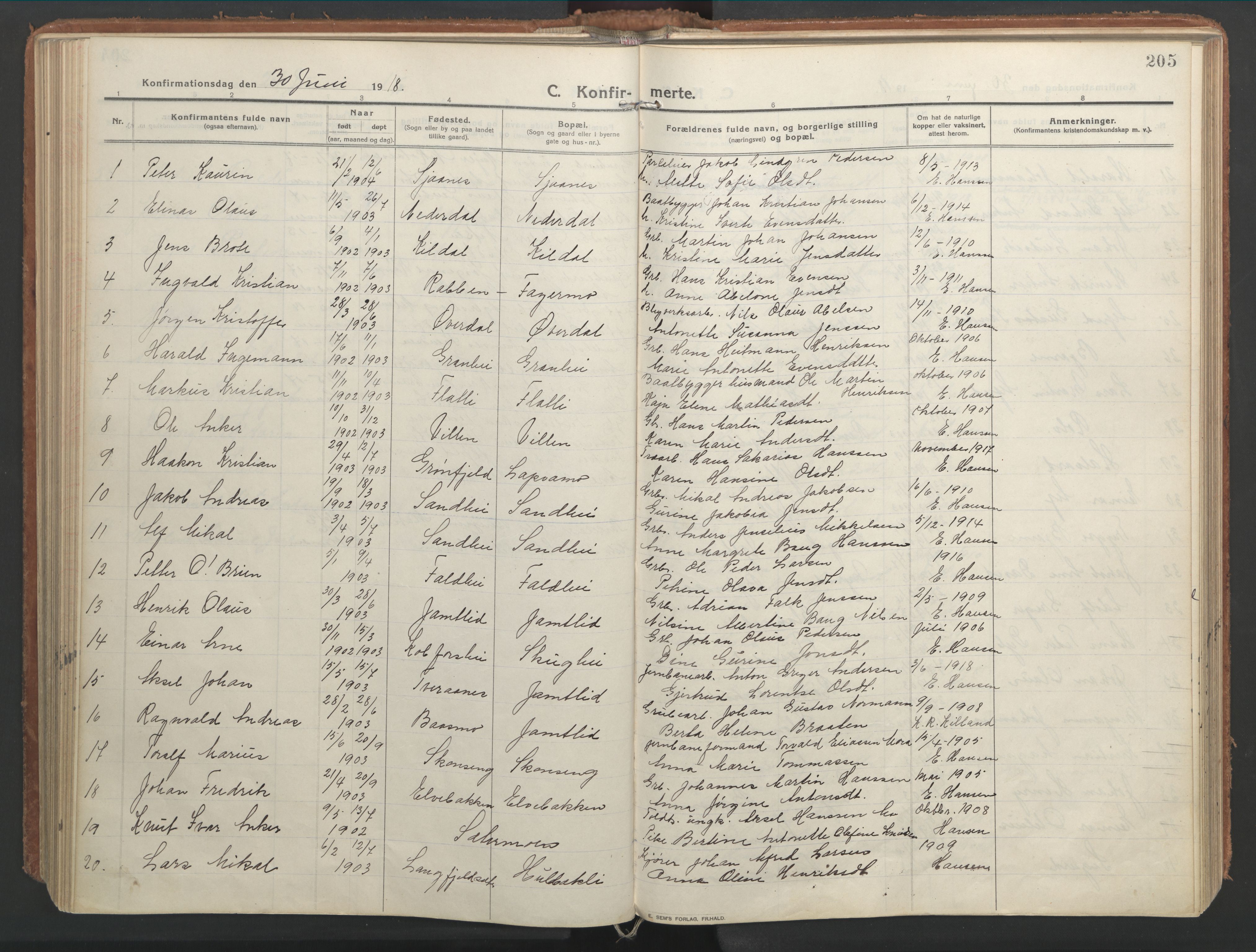 Ministerialprotokoller, klokkerbøker og fødselsregistre - Nordland, AV/SAT-A-1459/827/L0404: Parish register (official) no. 827A16, 1912-1925, p. 205
