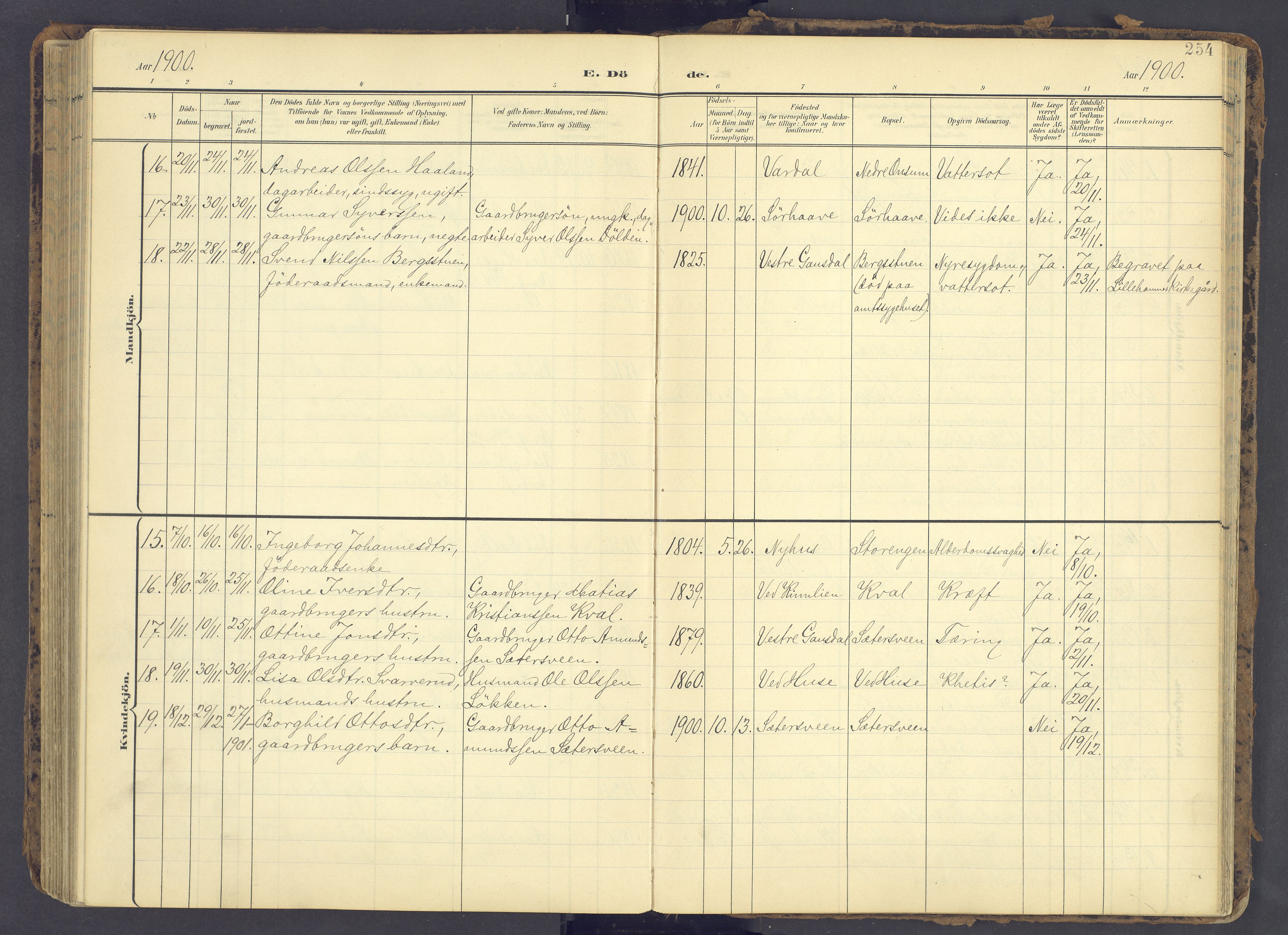 Fåberg prestekontor, AV/SAH-PREST-086/H/Ha/Haa/L0012: Parish register (official) no. 12, 1899-1915, p. 254