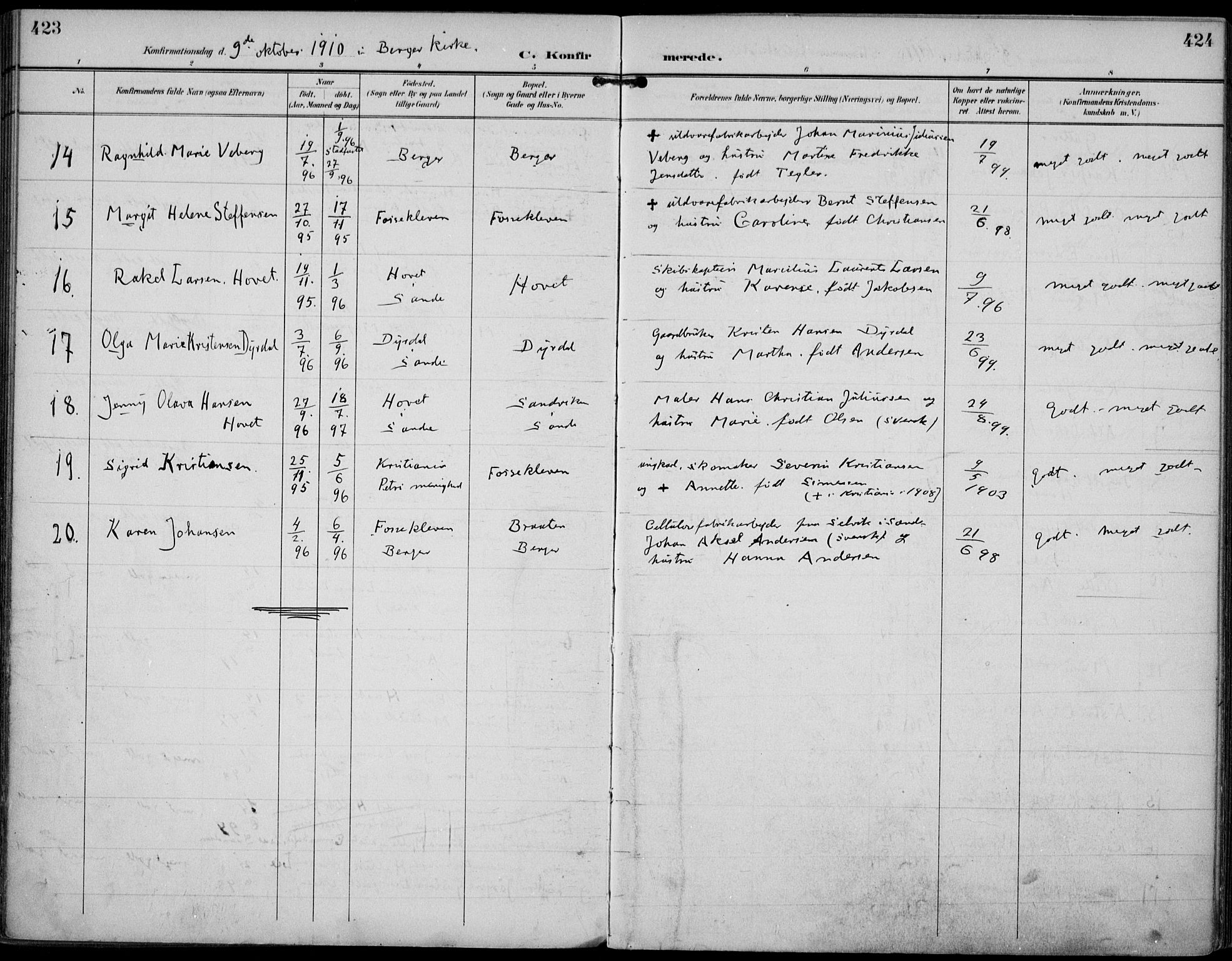 Strømm kirkebøker, AV/SAKO-A-322/F/Fa/L0005: Parish register (official) no. I 5, 1898-1919, p. 423-424