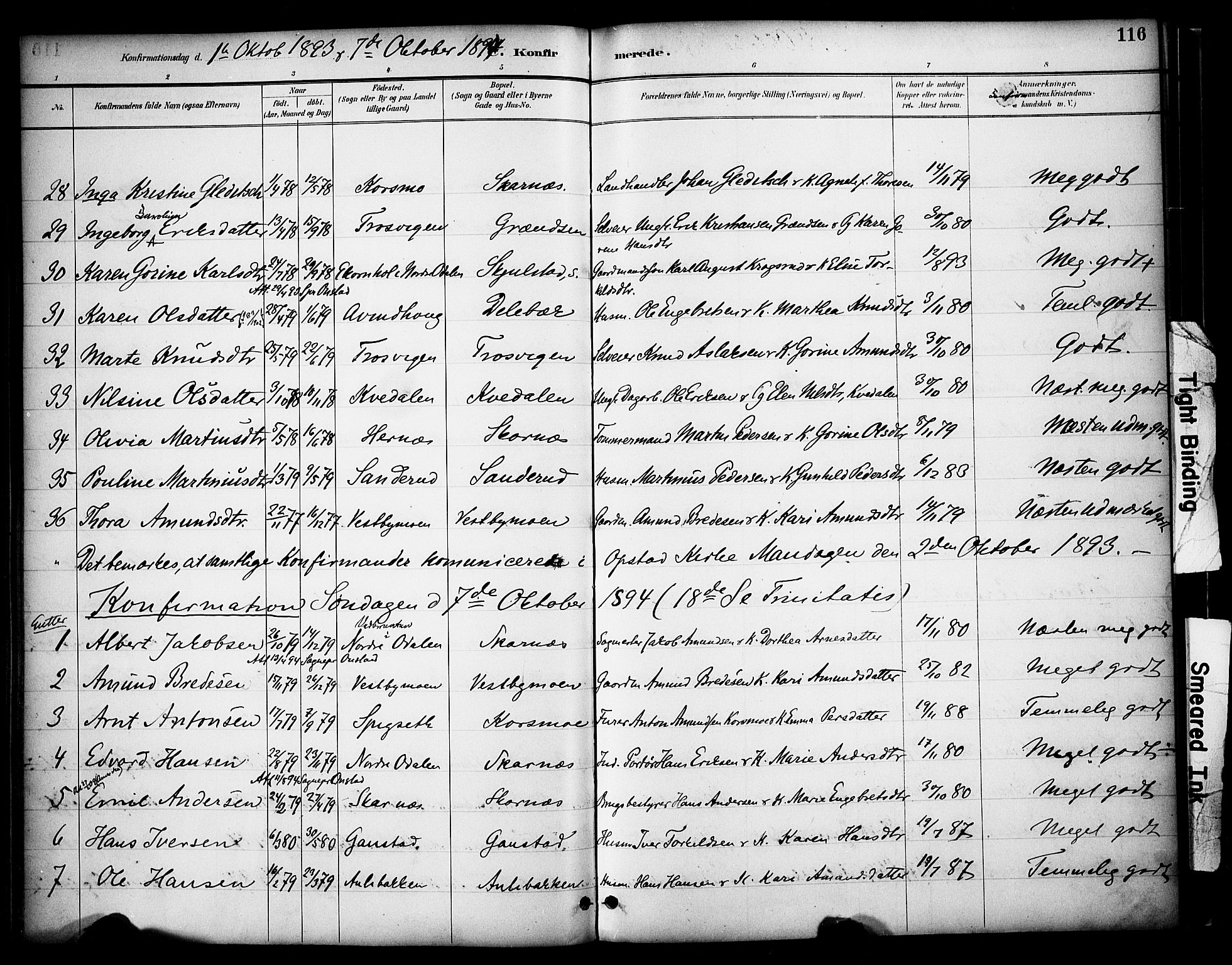 Sør-Odal prestekontor, AV/SAH-PREST-030/H/Ha/Haa/L0009: Parish register (official) no. 9, 1886-1926, p. 116