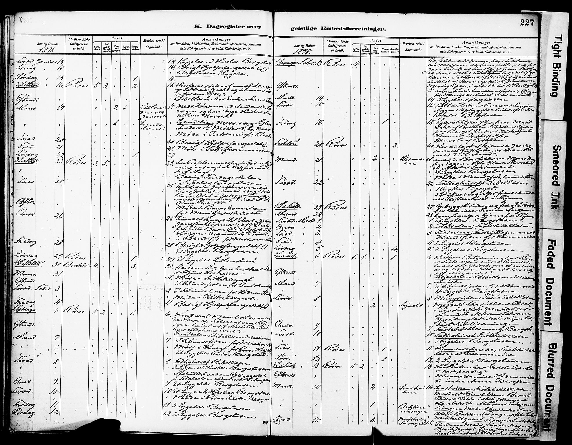 Ministerialprotokoller, klokkerbøker og fødselsregistre - Sør-Trøndelag, AV/SAT-A-1456/681/L0935: Parish register (official) no. 681A13, 1890-1898, p. 227