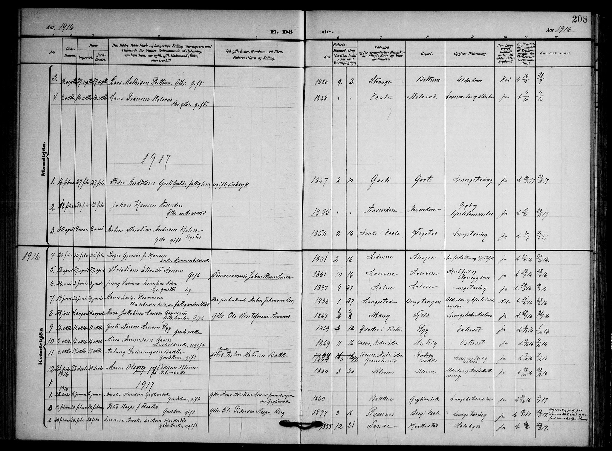 Våle kirkebøker, AV/SAKO-A-334/F/Fa/L0012: Parish register (official) no. I 12, 1907-1934, p. 208